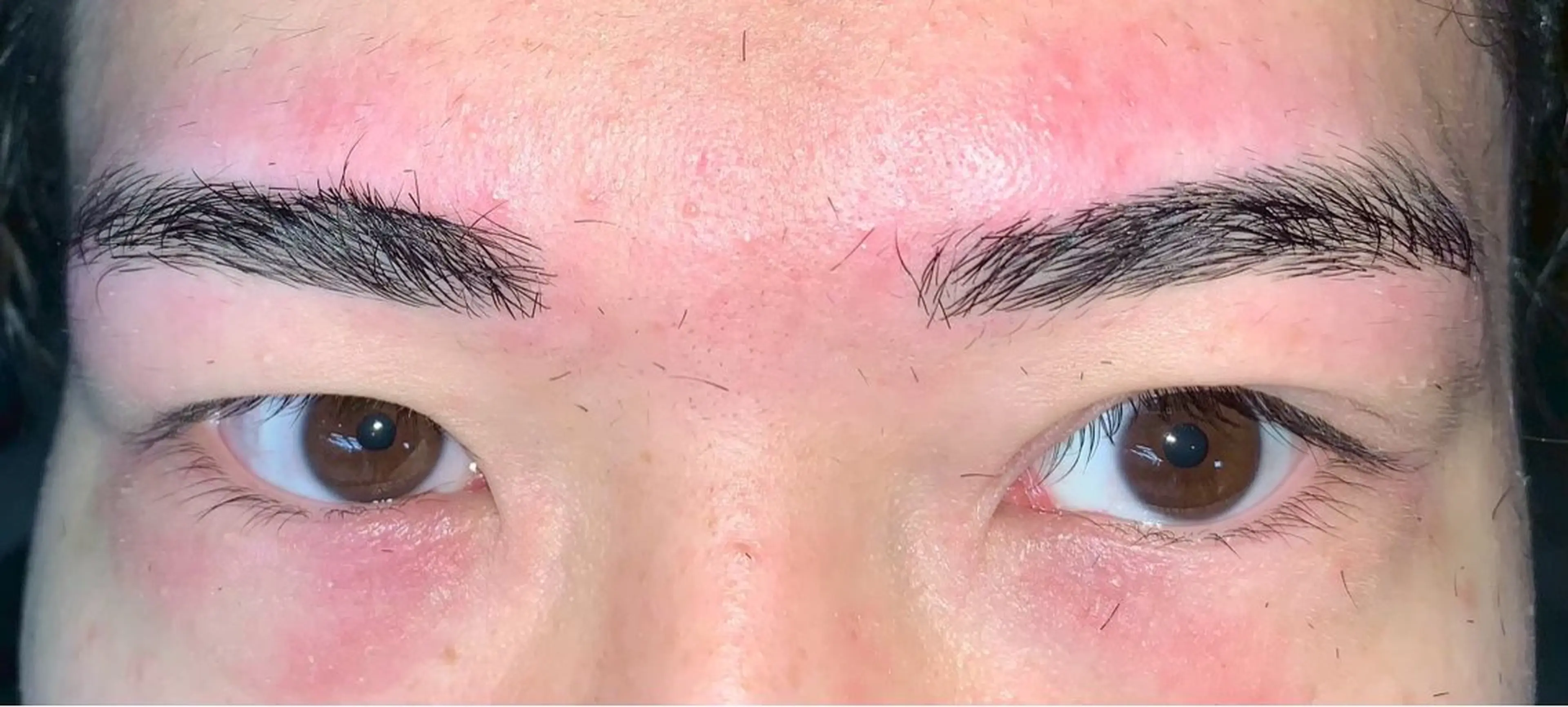 メンズ アイブロウ 笹原 琴美のヘアスタイル