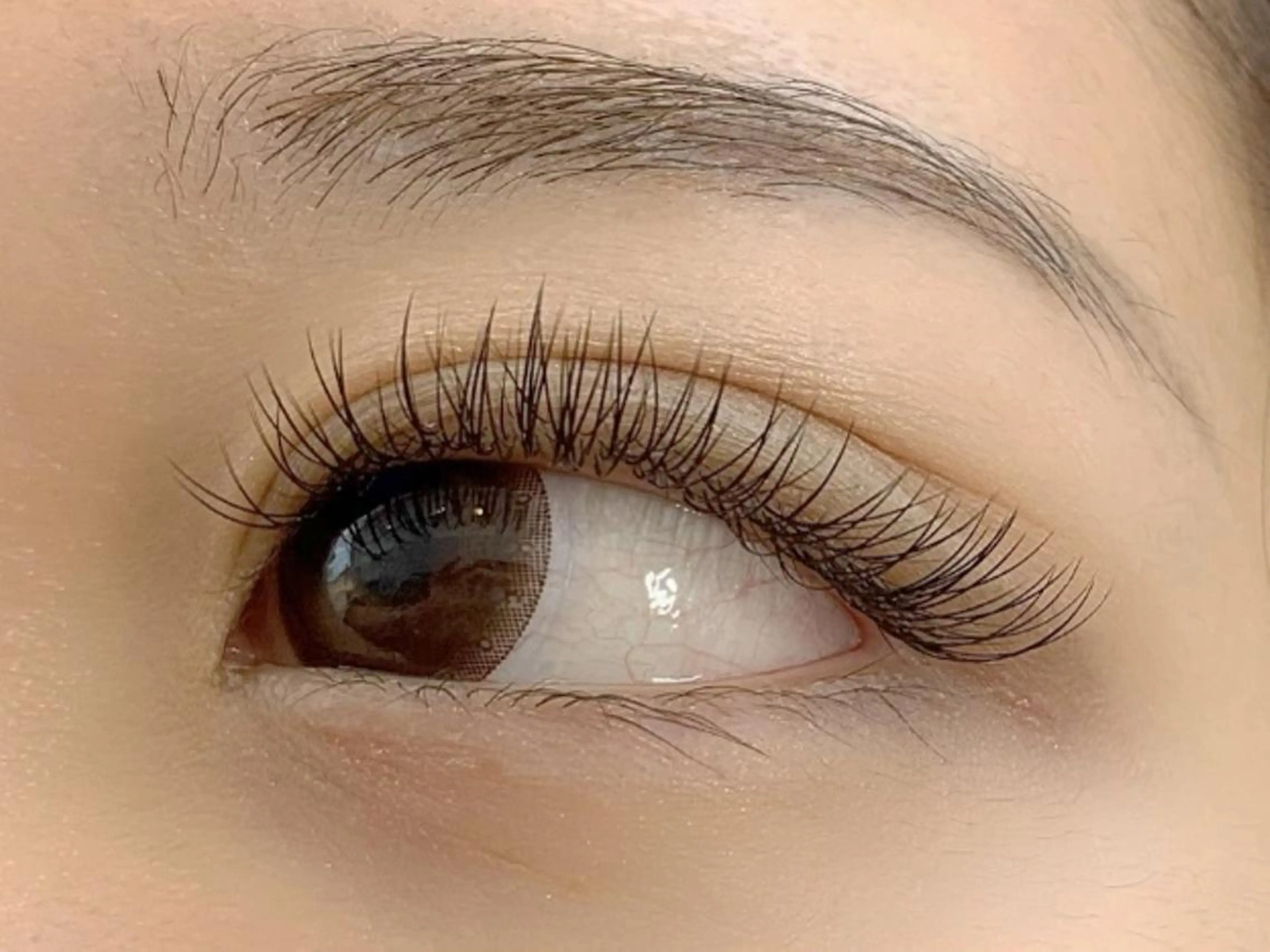 4/22　オフあり！【シングルラッシュ★上120本】(LEDオフは不可)の写真