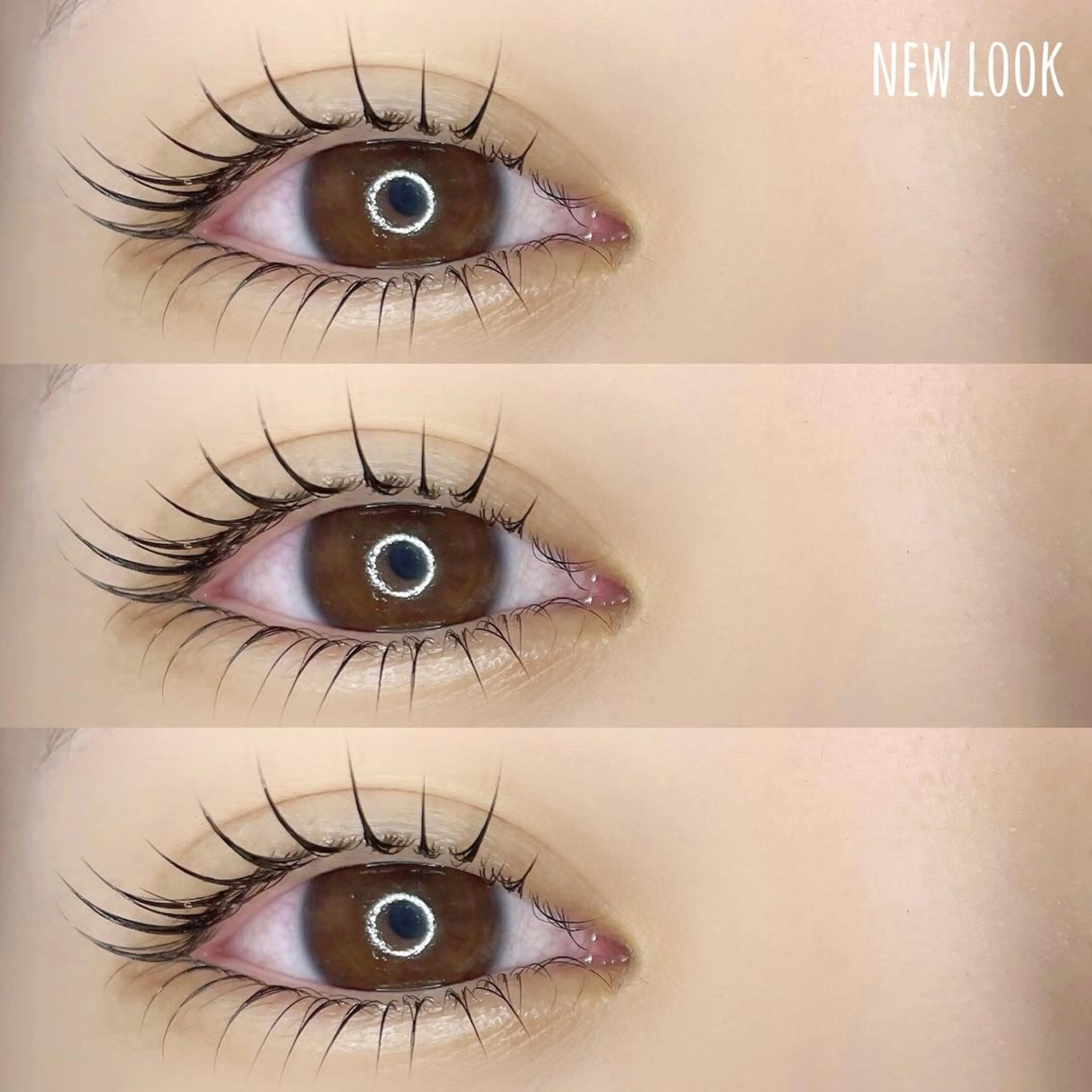 アイシャンプー付 🌿 上下まつげパーマの写真