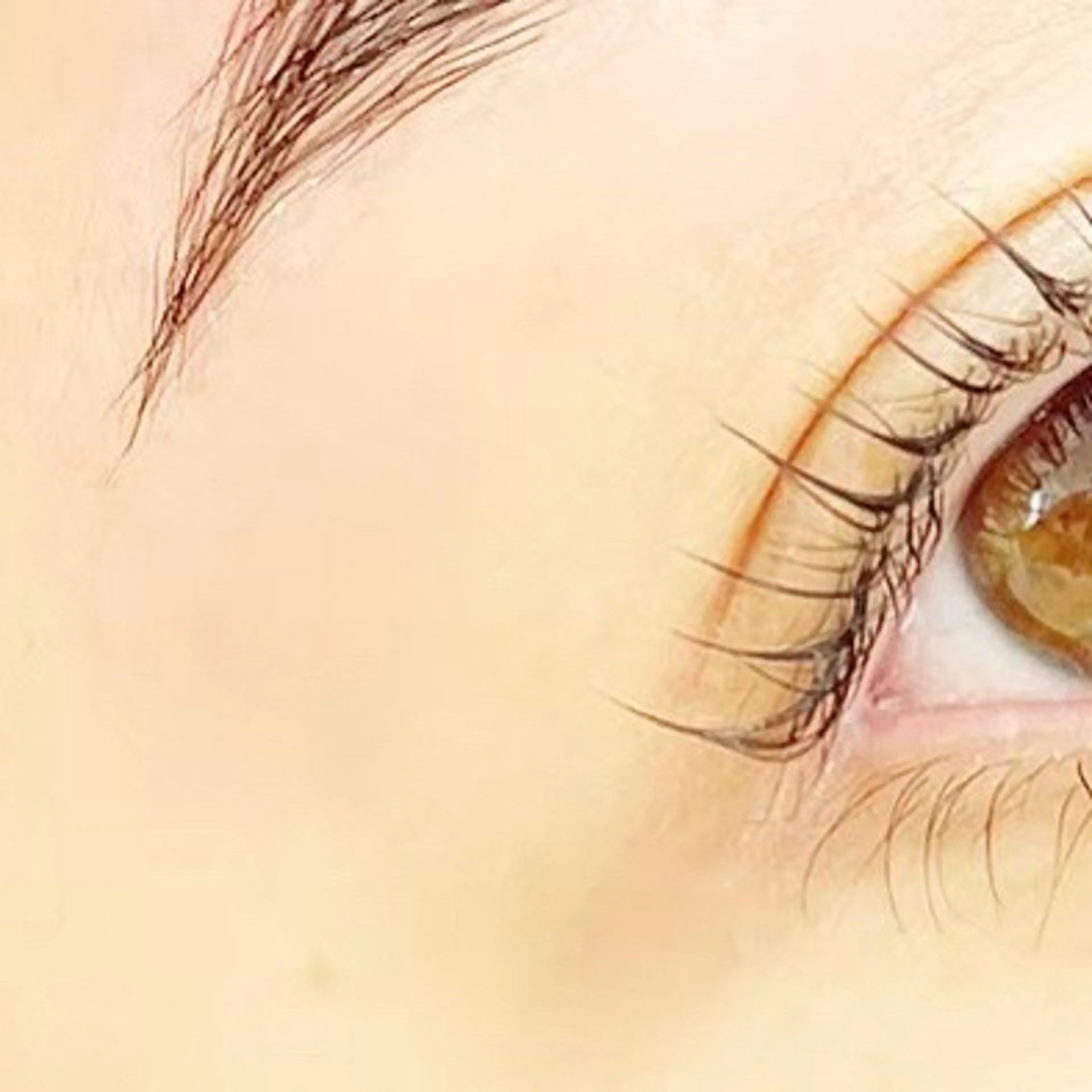 マツエク・マツパ eyelash- r🌹の眉毛・アイブロウイメージ