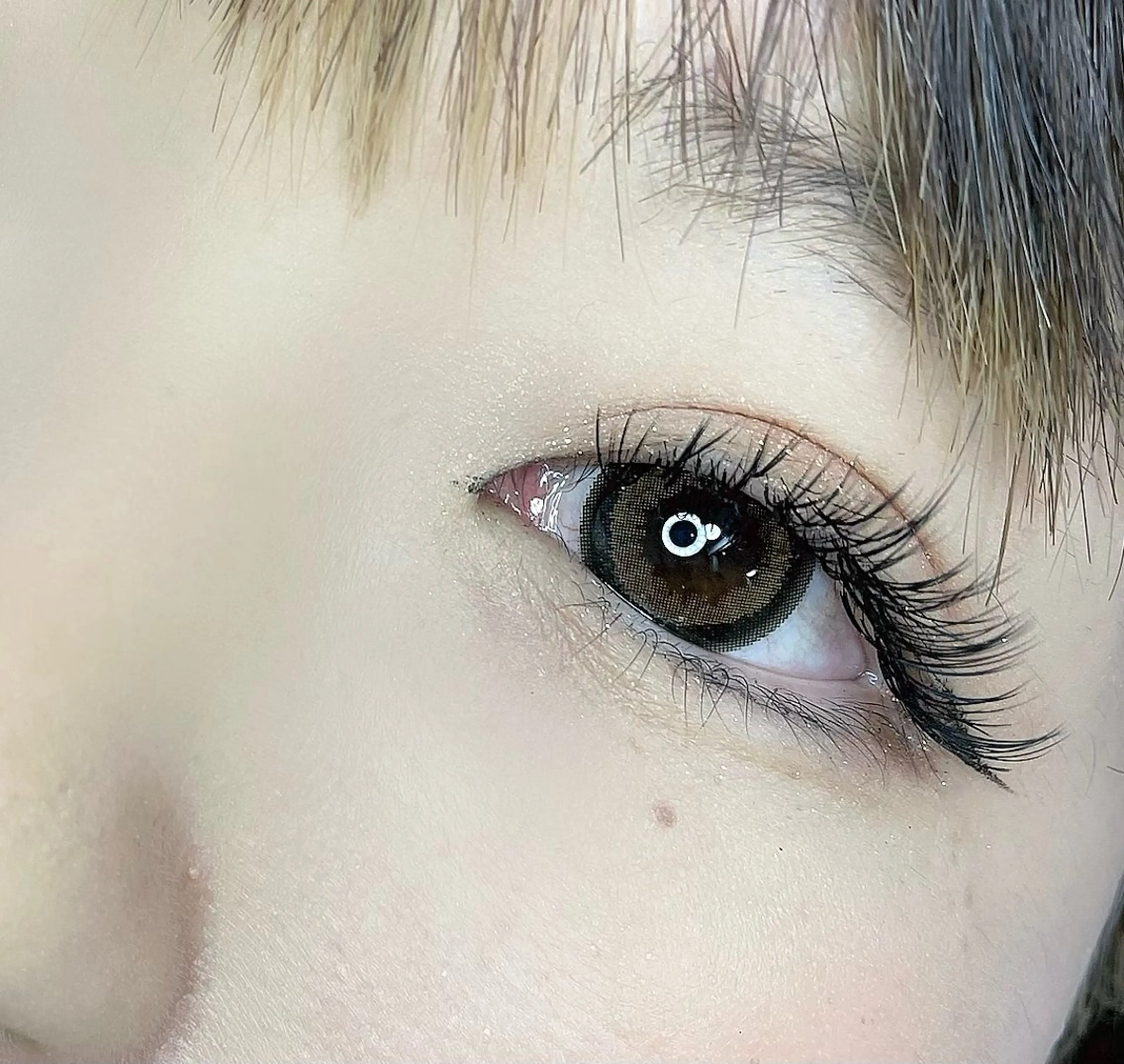 オフ込みバインドロック80本の写真