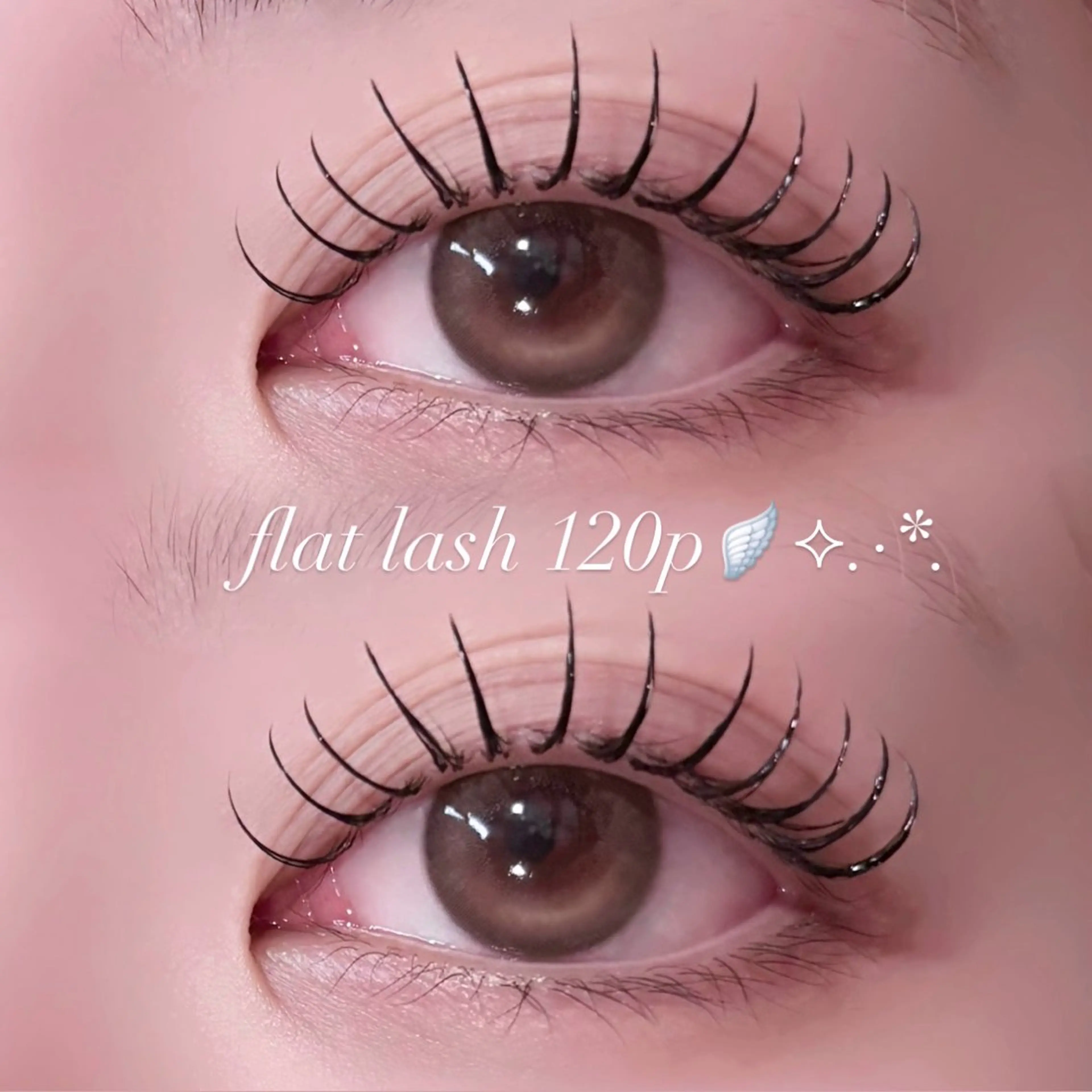 マツエク・マツパ キュート Dカール フラットラッシュ マツエク 🎀束感/上下エク/ 𝐑𝐔𝐀🎀♡のマツエク・マツパデザイン