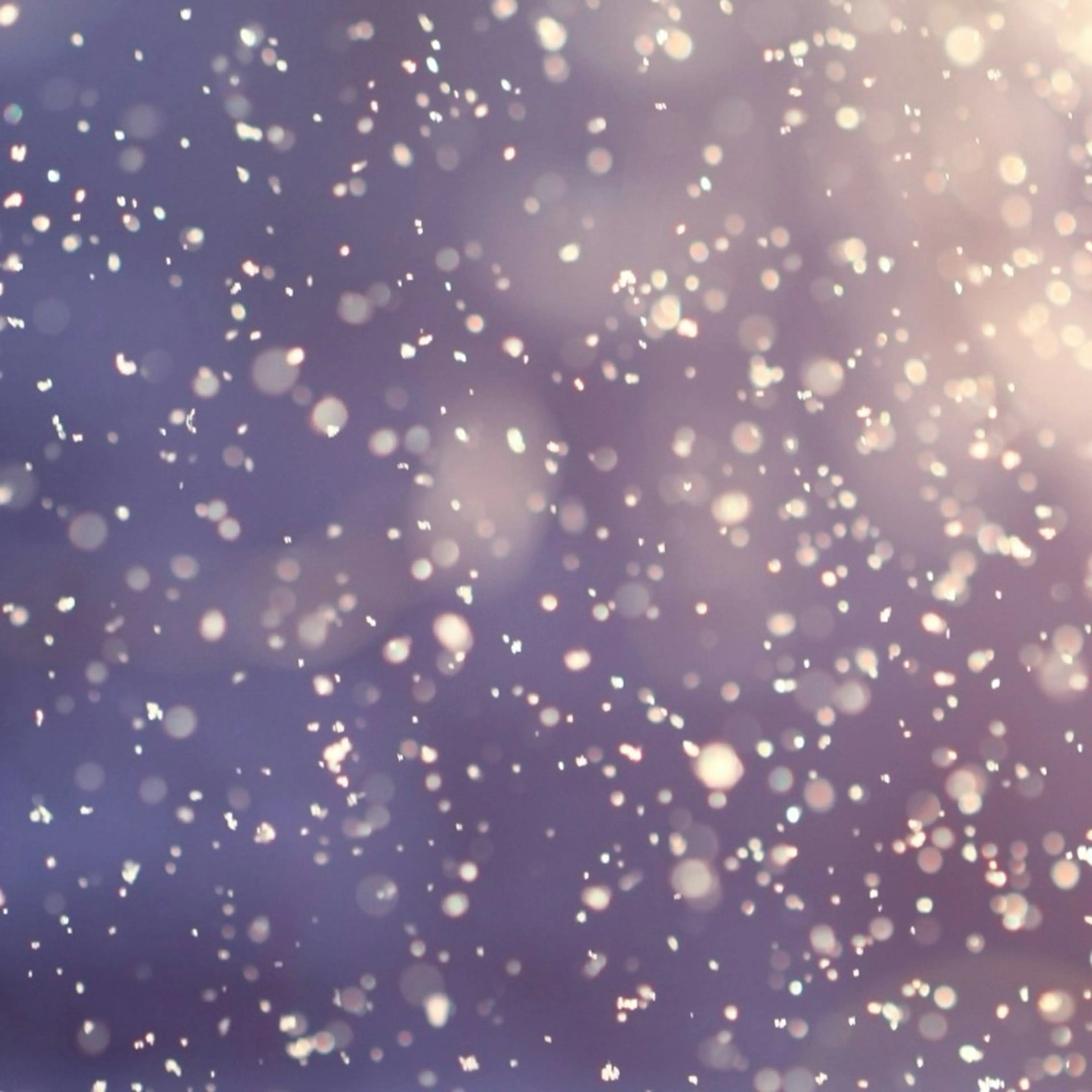 🖤当日お一人様限定🖤&healthy or パリエク(120本) ⚠︎メニュー詳細確認必須の写真