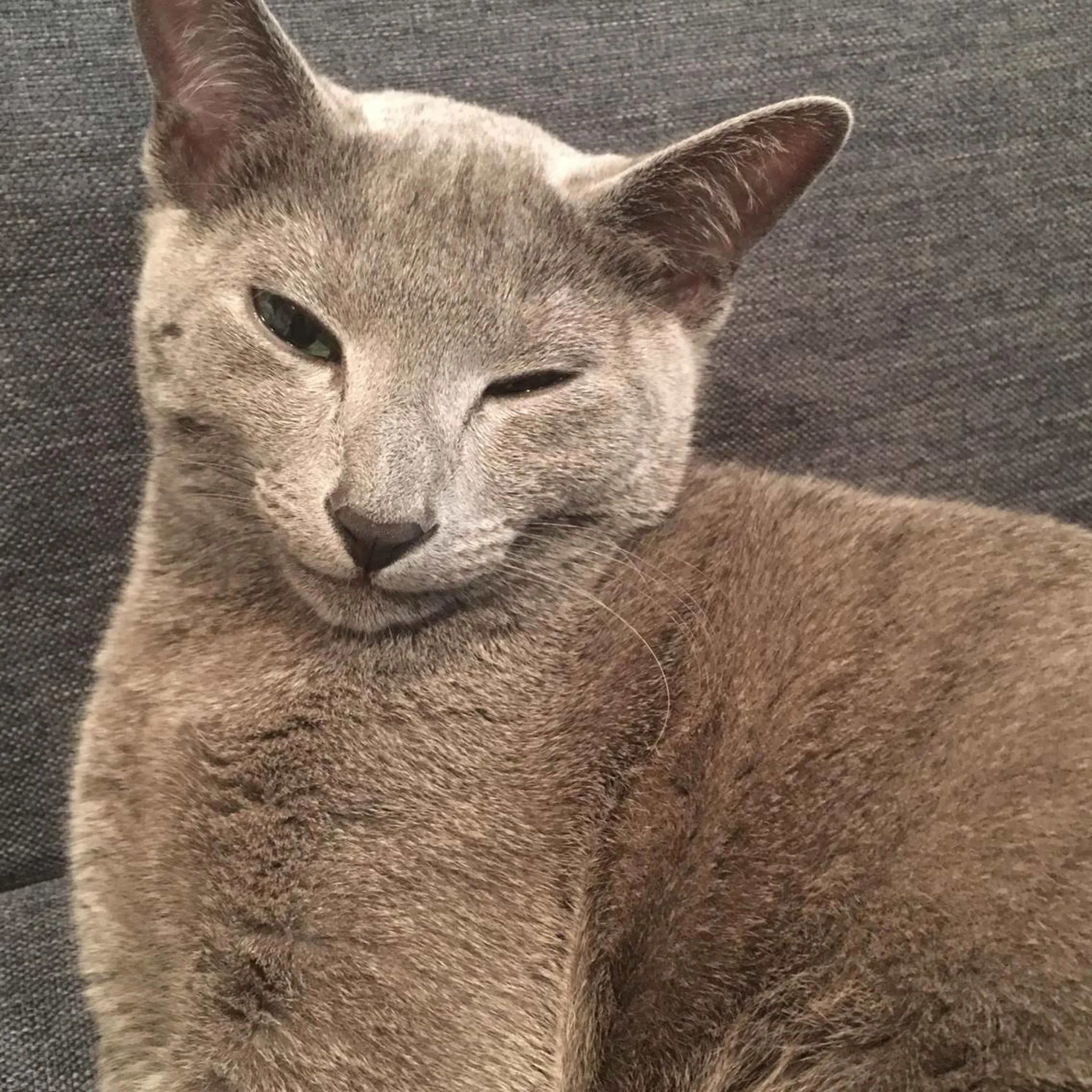 ショート カラー パーマ ヘアアレンジ メンズ キッズ ネイル マツエク・マツパ アニメ,Vオタク× 即効痩せエステサロンのエステ・リラクイメージ