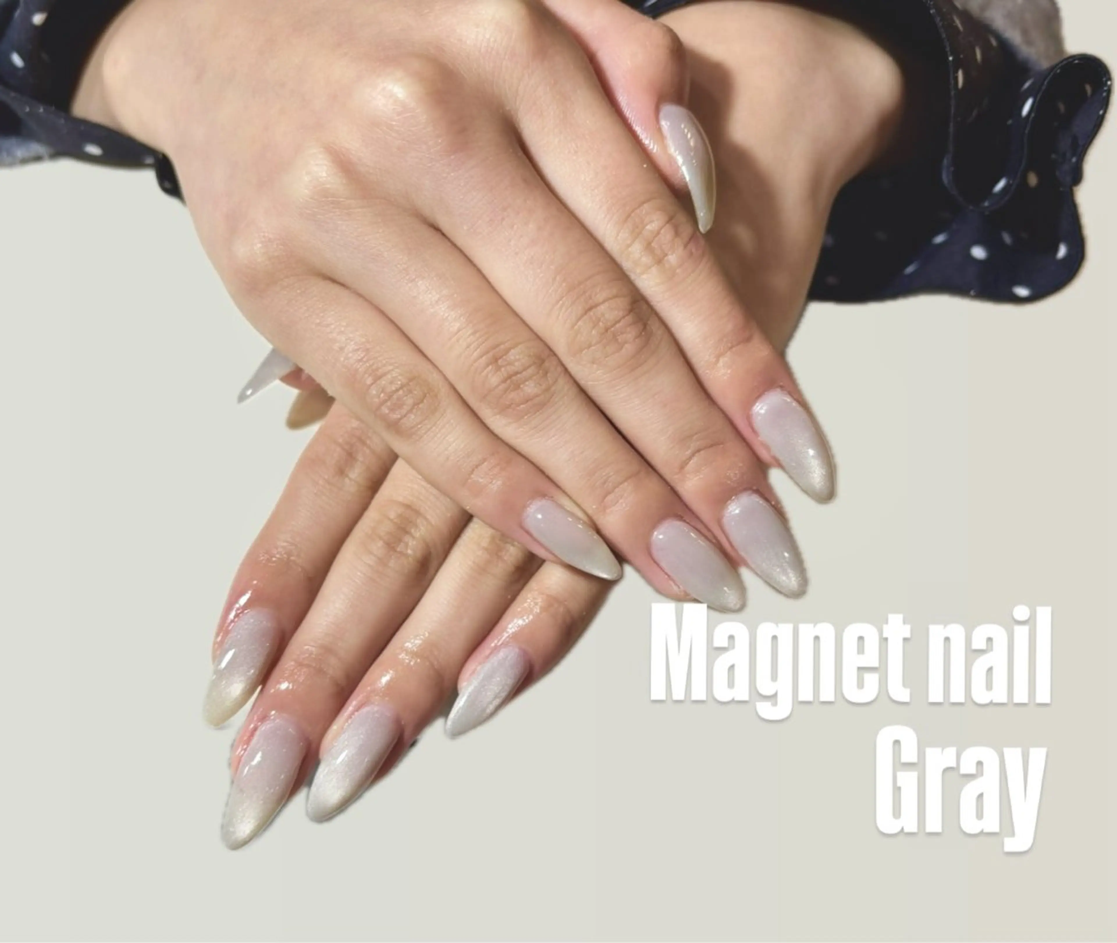 マグネット🦋の写真