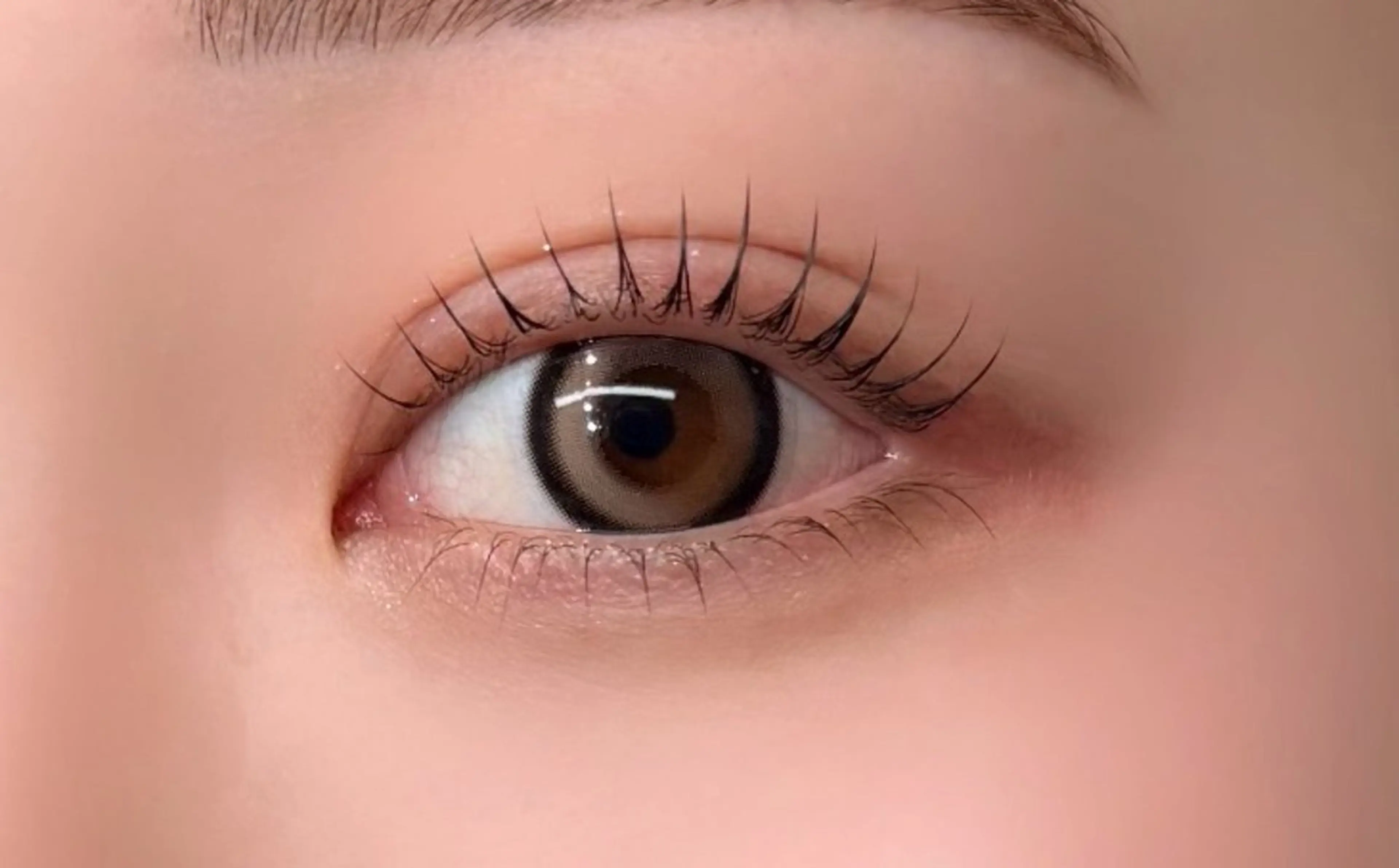 急募🎀 『4/26・17:00/』まつげパーマ研修モデル🎀の写真