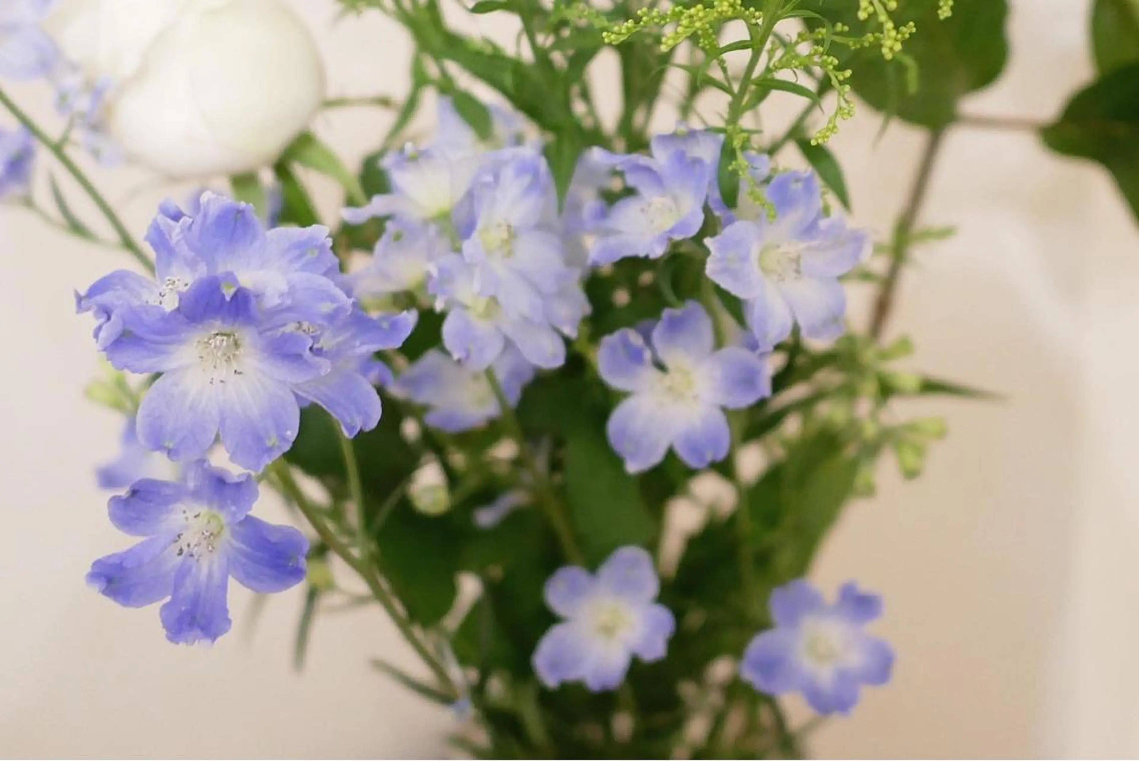 ミディアム カラー パーマ ヘアアレンジ メンズ ネイル マツエク・マツパ ニキビ跡専門サロン Ａｉｎａのエステ・リラクイメージ