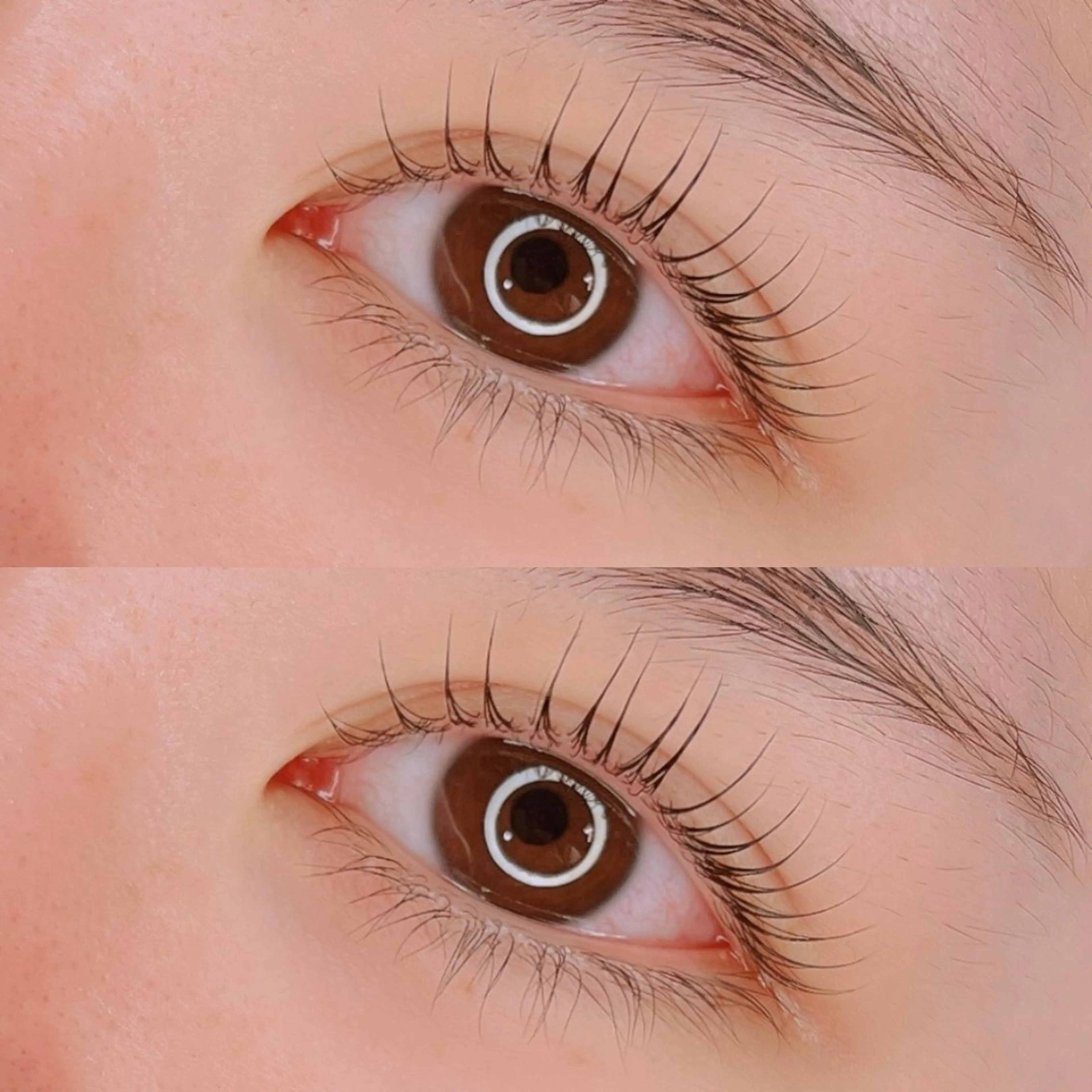 マツエク・マツパ ikoi yukaのヘアスタイル