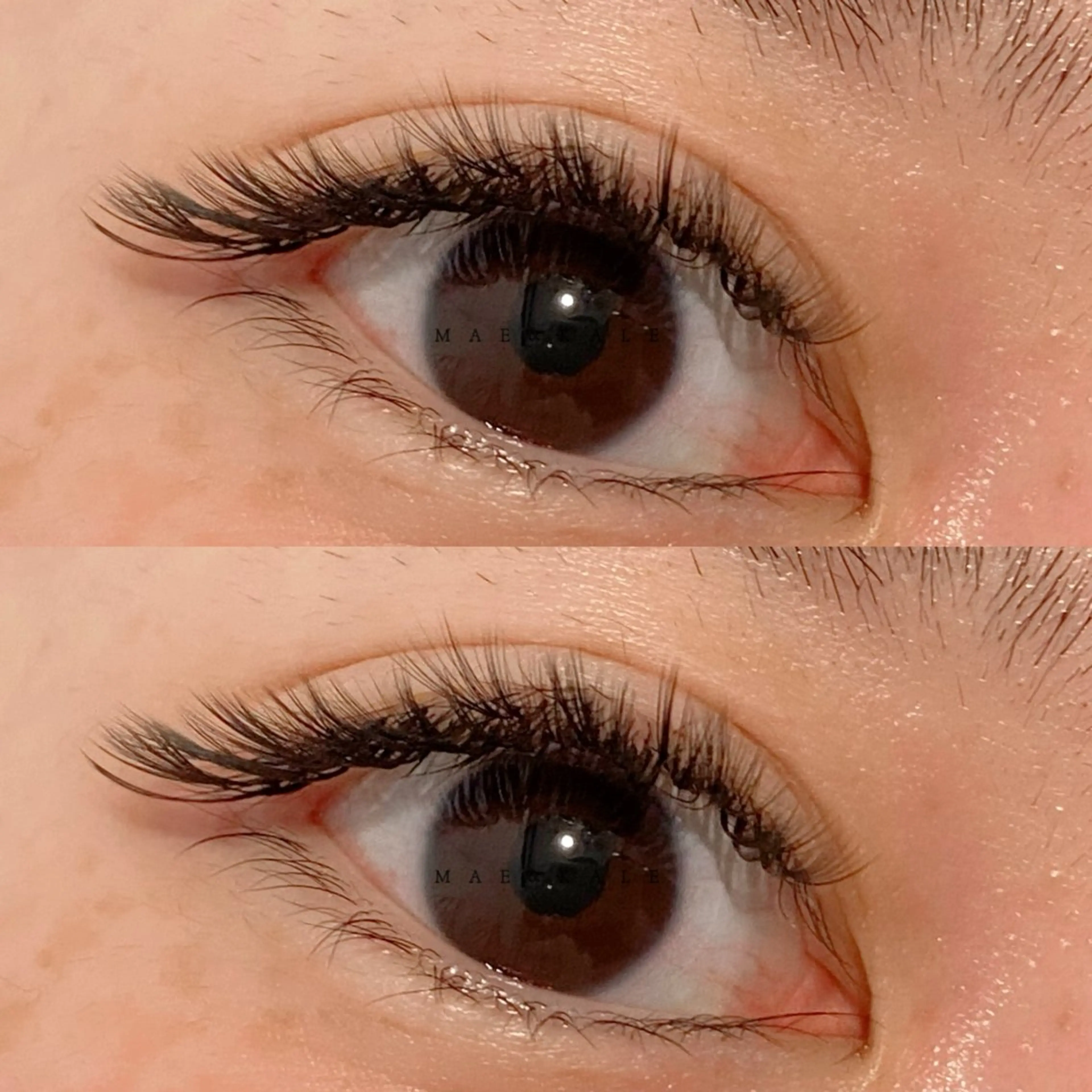 【新規オフ込み】💗ボリュームラッシュ500本の写真