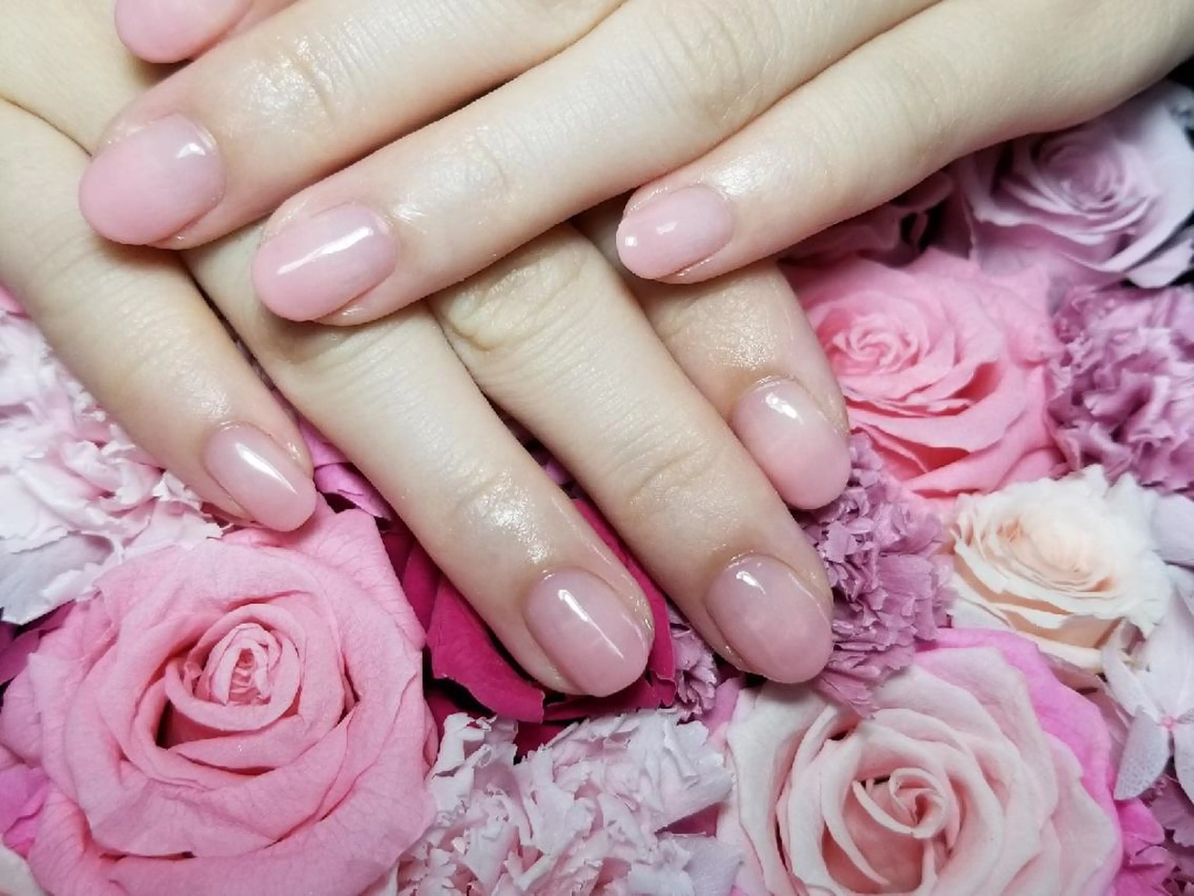 ネイル グラデーション ピンク Laule’a 昭島店のネイルデザイン