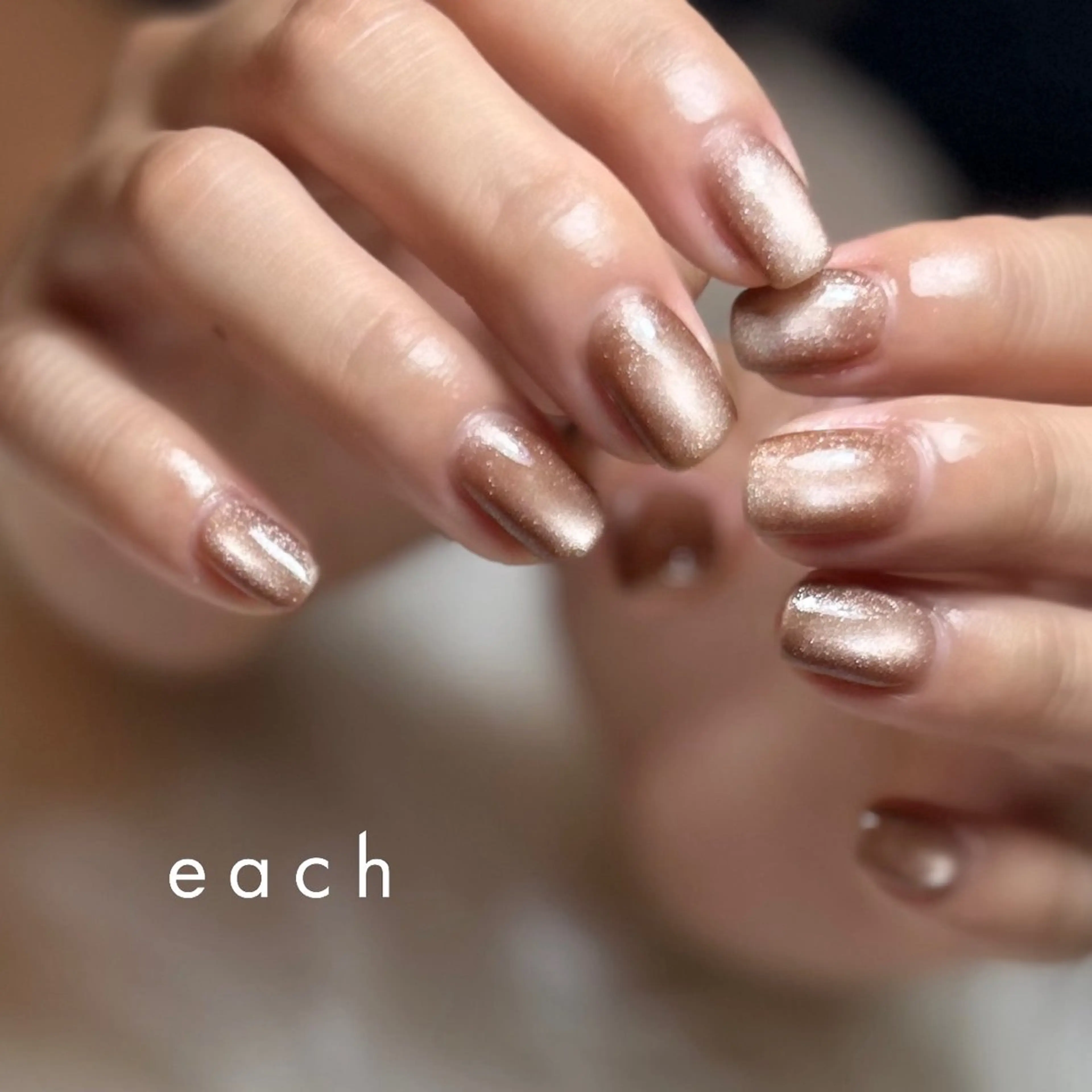 ネイル ブラウン マグネットネイル filon nail kanako🕊のネイルデザイン