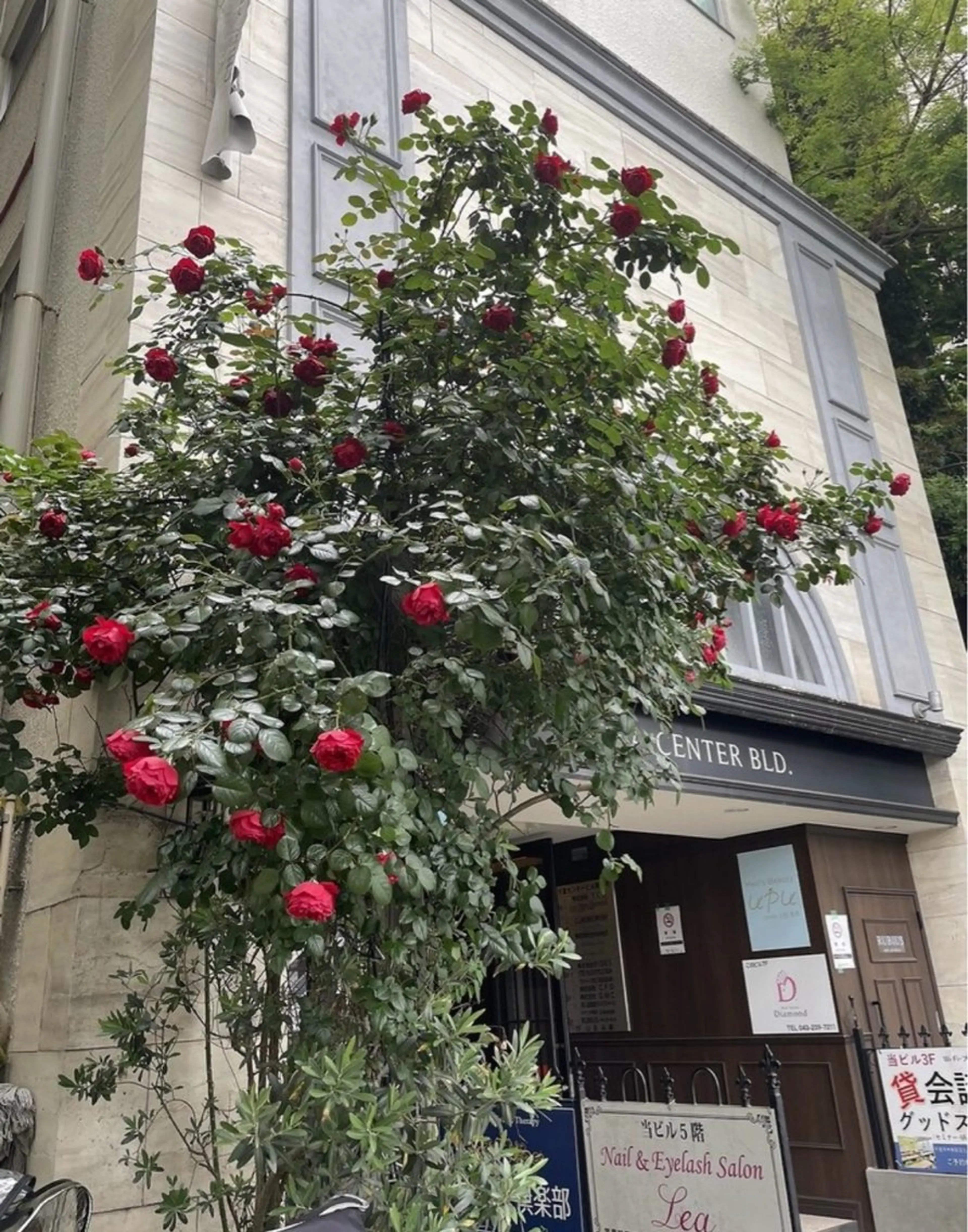 ネイル ネイルサロン サヤのネイルデザイン