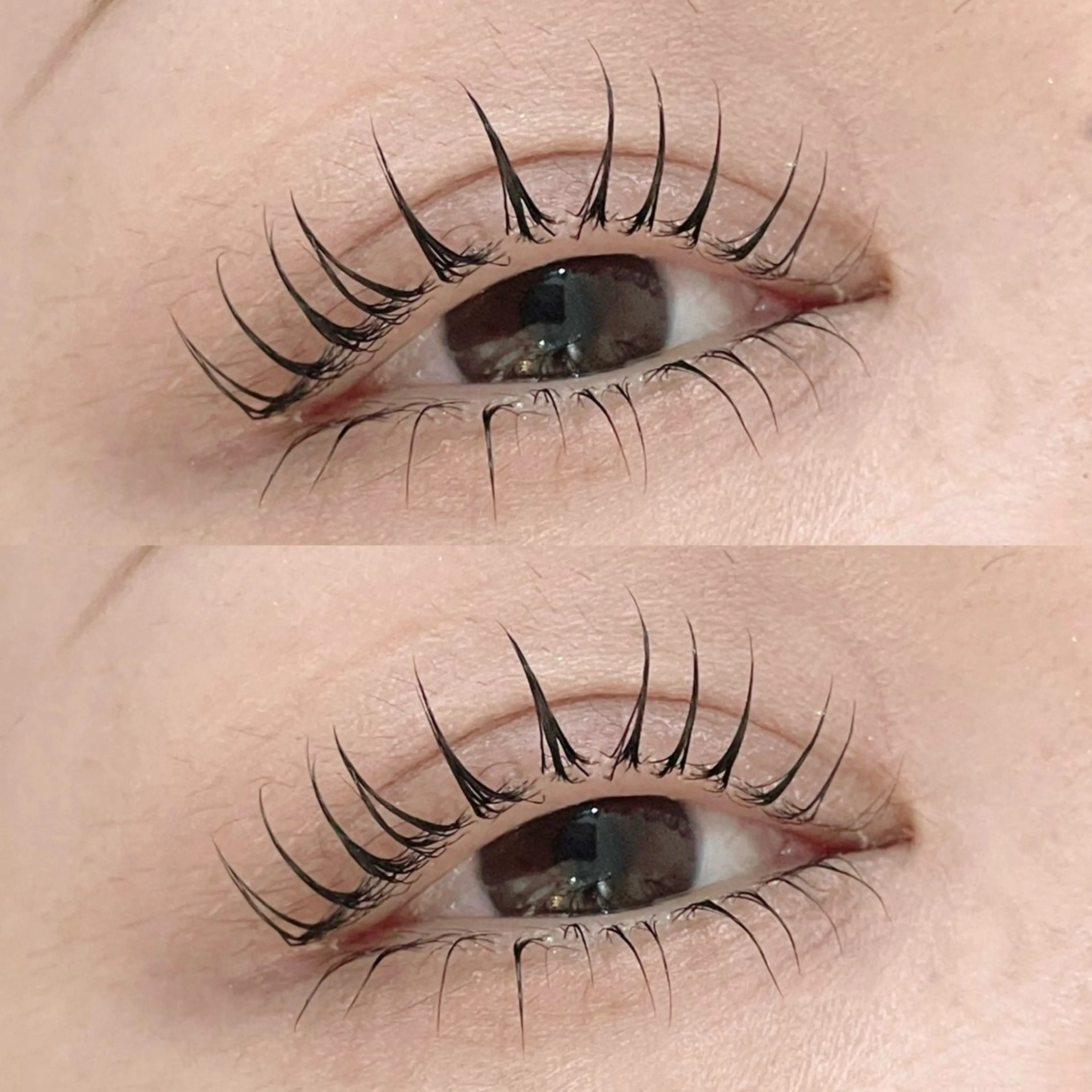 【 minimo限定✩.* 】オーダーメイド上下まつげパーマ🥂 / 韓国風束感🪞美容液コーティング仕上げ⟡アイsp付の写真