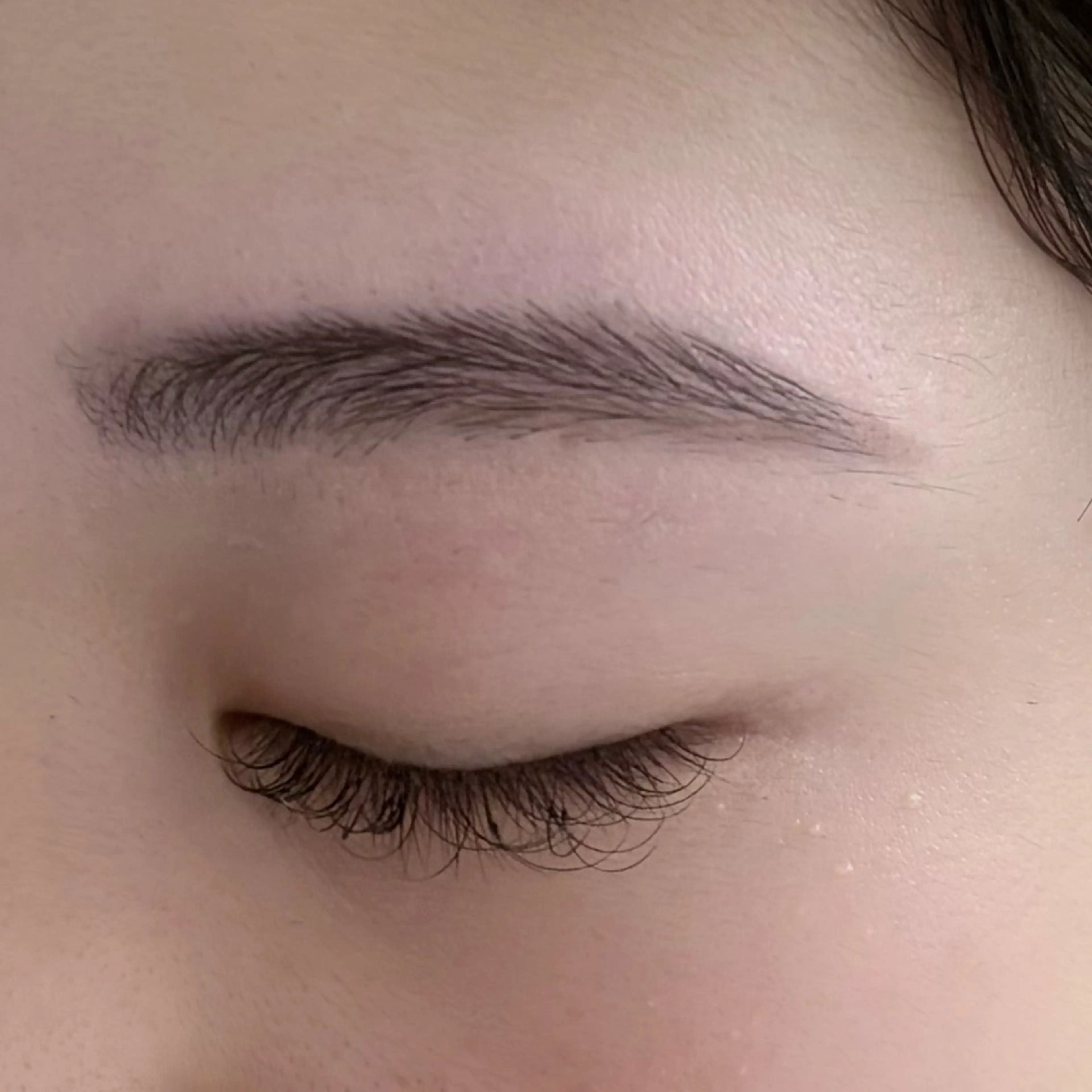 アイブロウ Japan Eyelist College 大阪天王寺本校所属・藤本 朝咲の眉毛・アイブロウイメージ