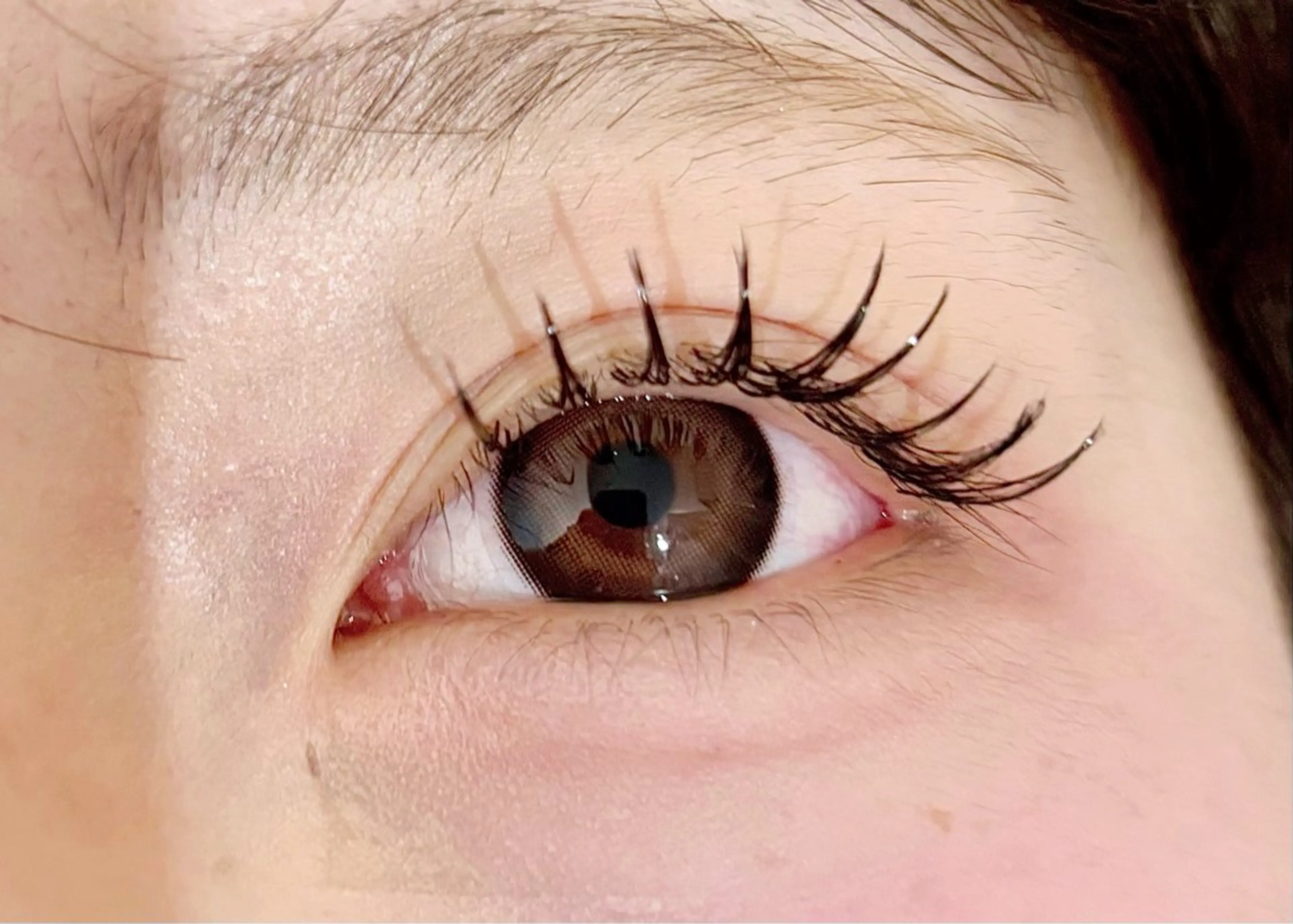 マツエク100本（オフなし）の写真