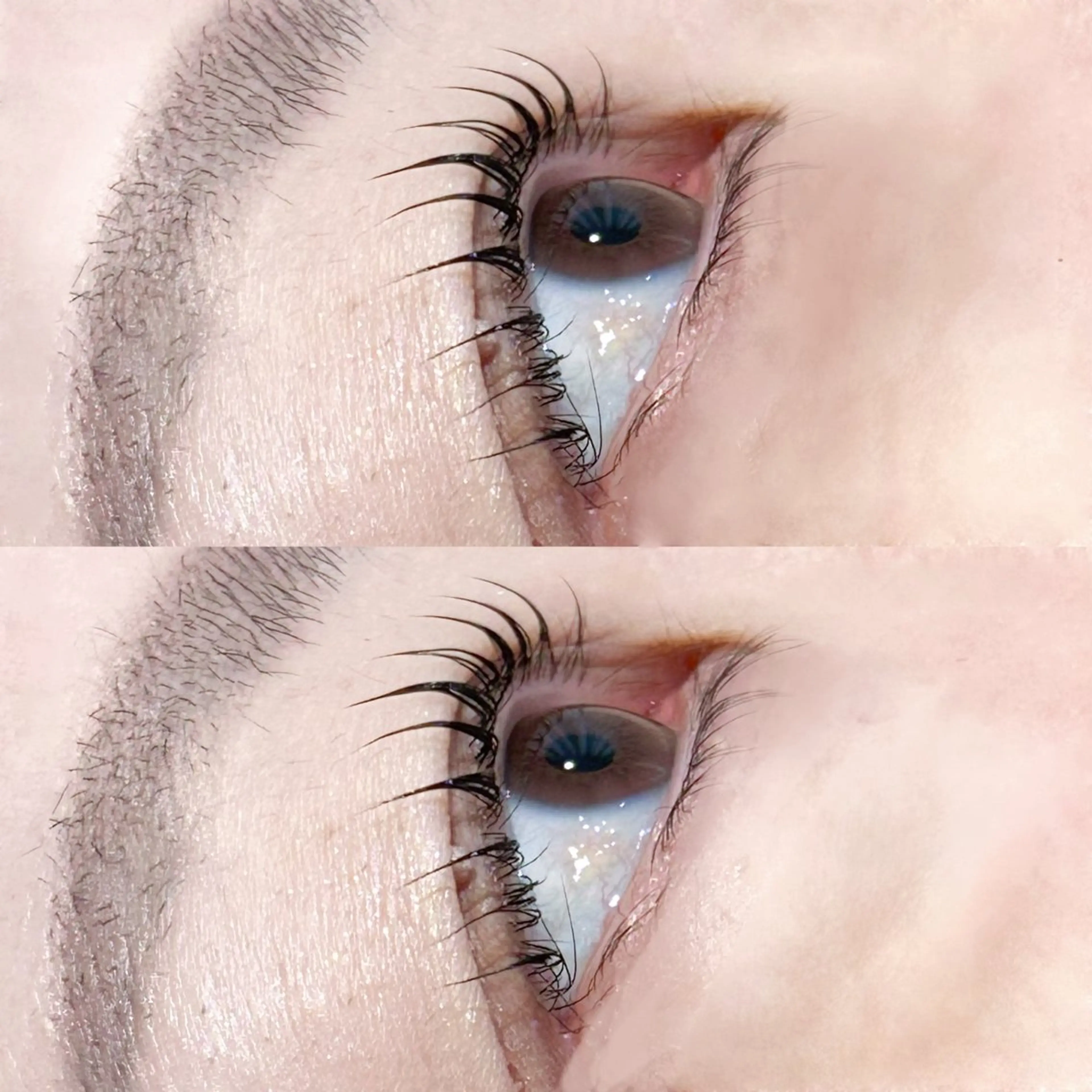 マツエク・マツパ 艶カラー/ マツエクrisa🎀のヘアスタイル