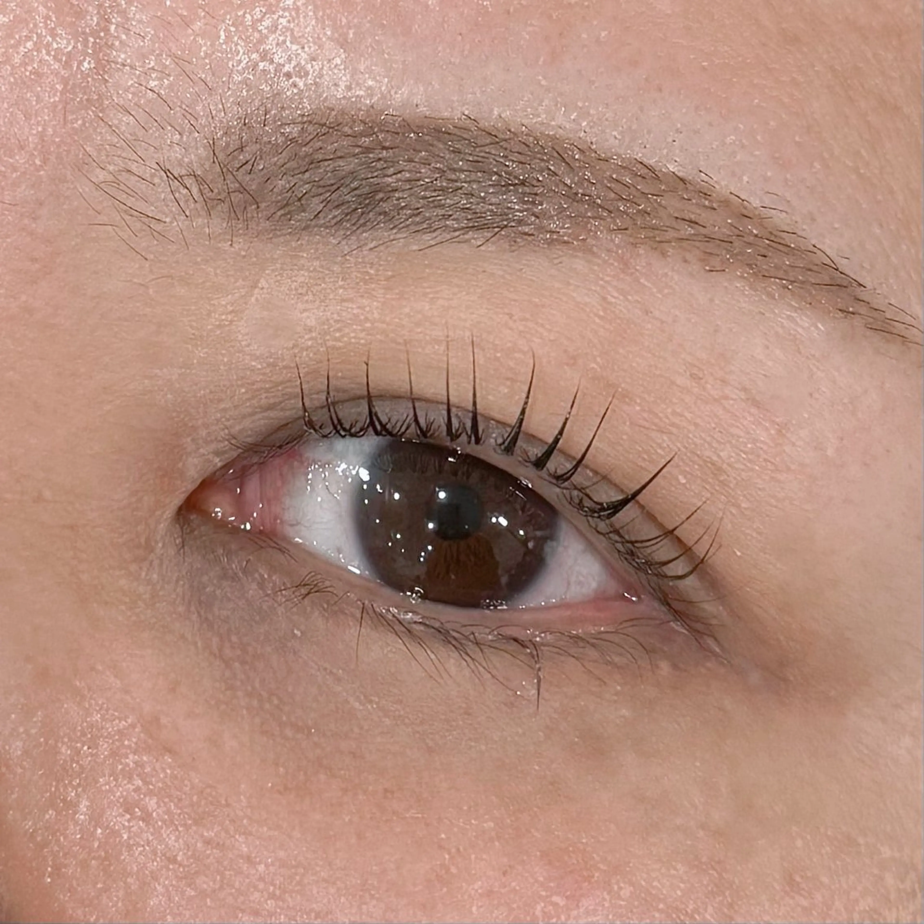 マツエク・マツパ Shino 🐈‍⬛🌙のマツエク・マツパデザイン