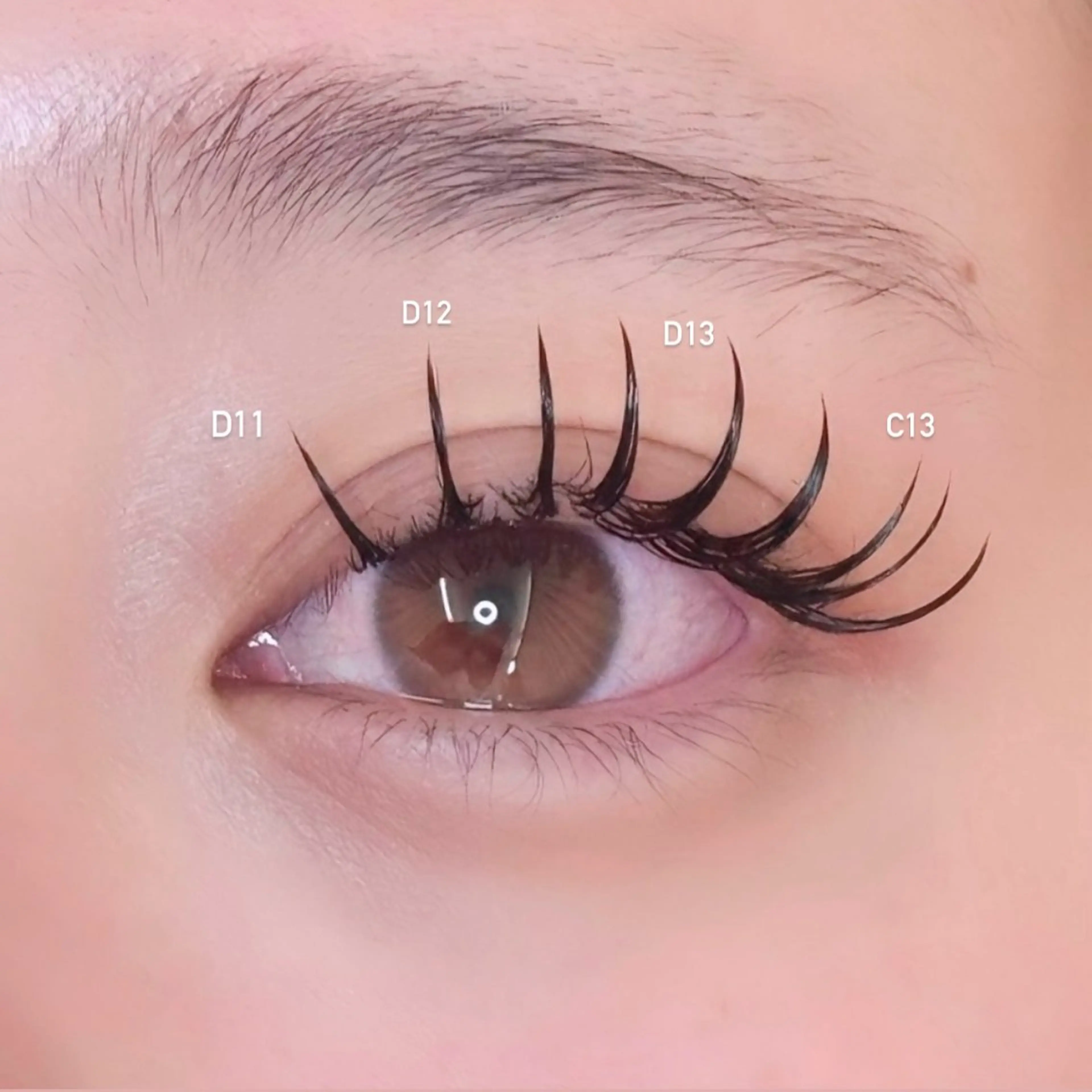 マツエク・マツパ マツエク fein.aoi🎀 🤍のマツエク・マツパデザイン