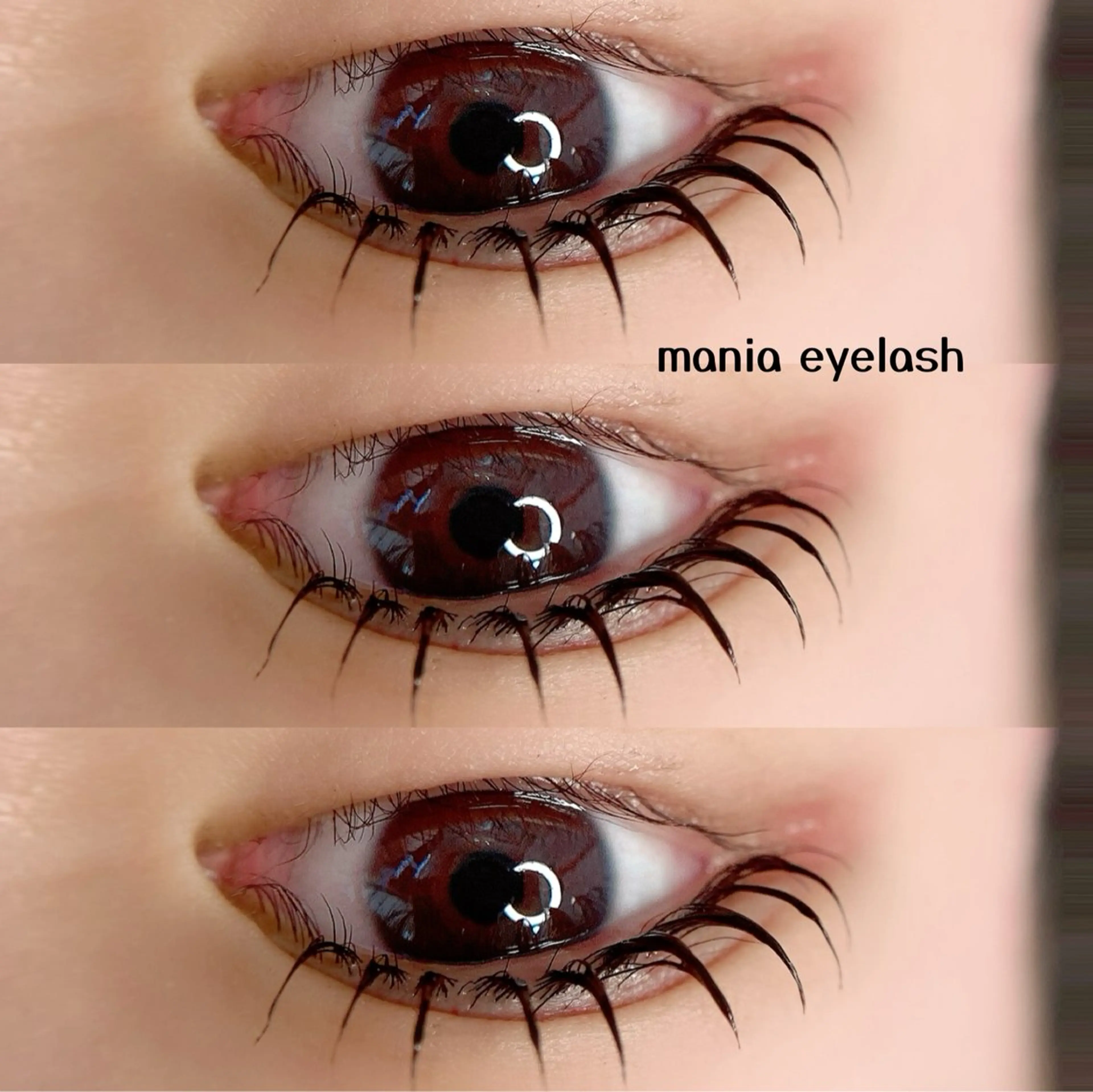 マツエク・マツパ mania eyebrowsのマツエク・マツパデザイン