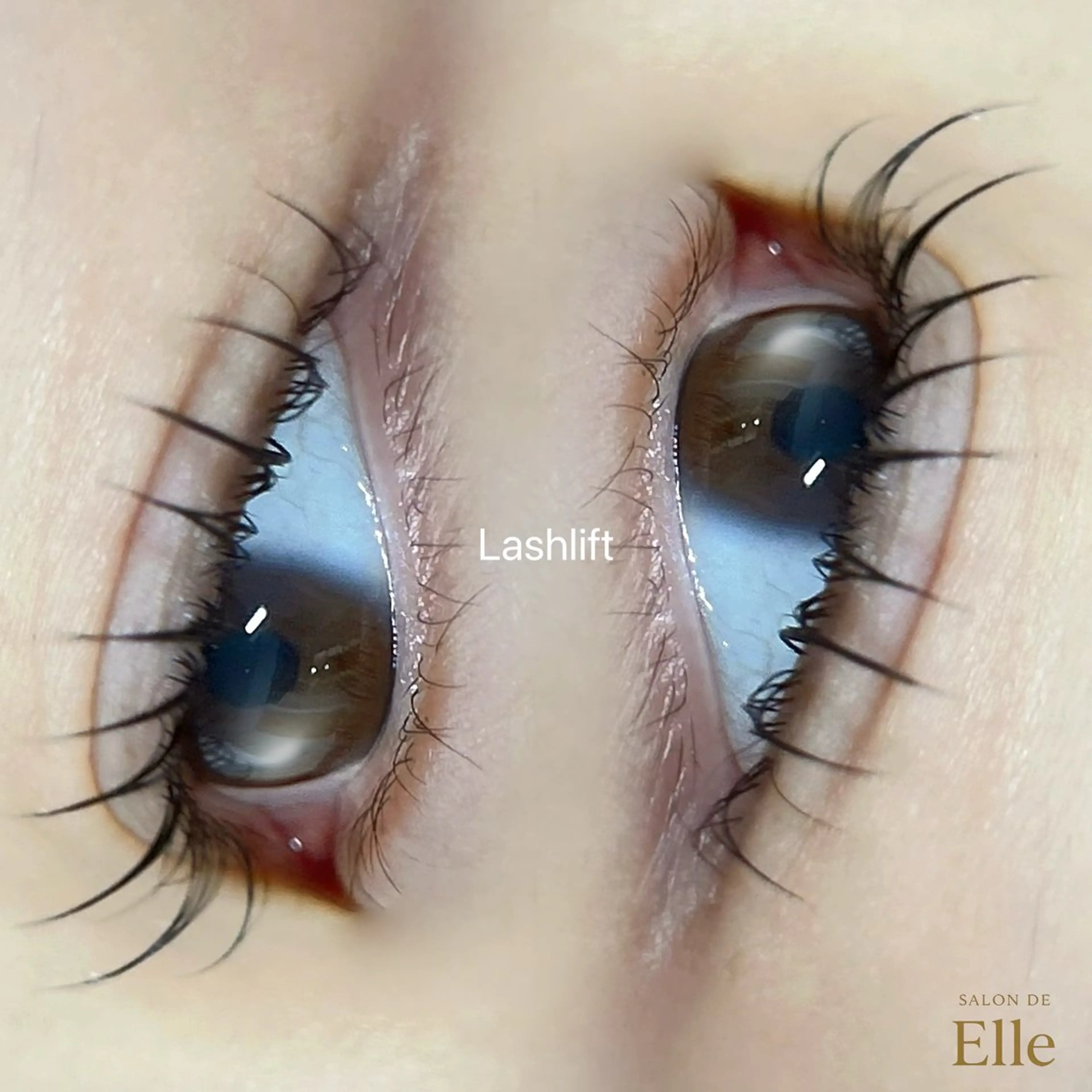 マツエク・マツパ マツパ eyelash Aoのマツエク・マツパデザイン