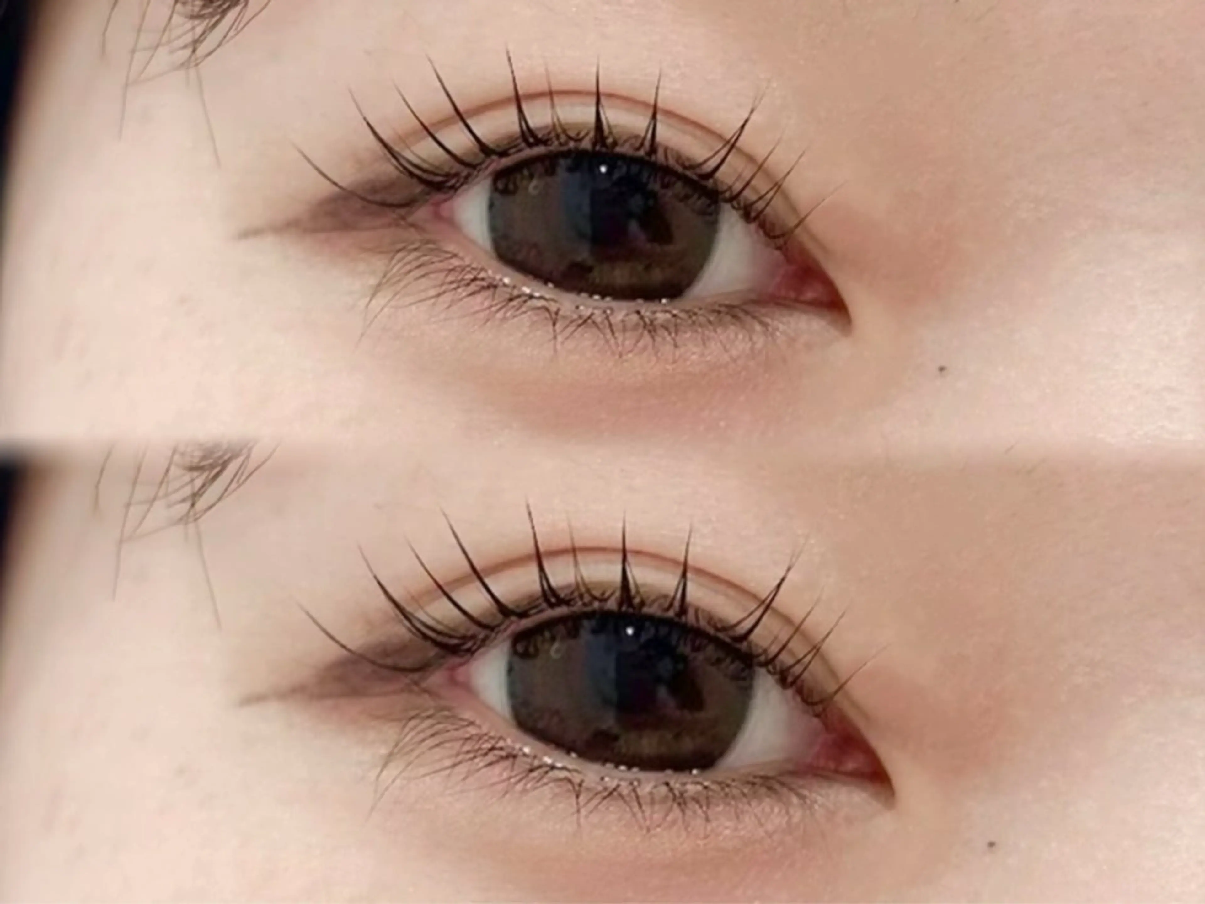 マツエク・マツパ マツパ Lily 船橋 秋本のマツエク・マツパデザイン