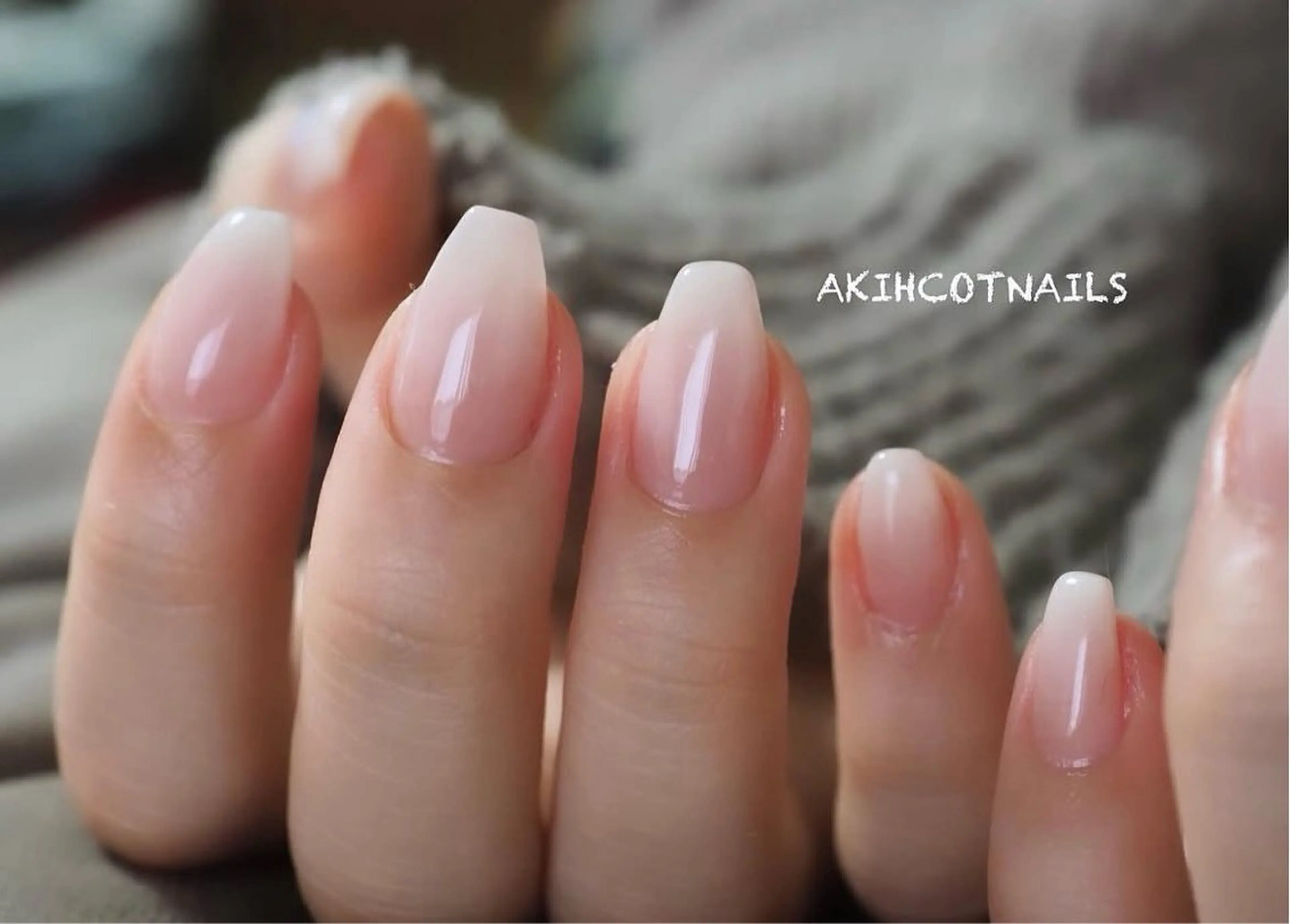 ブーマーの写真