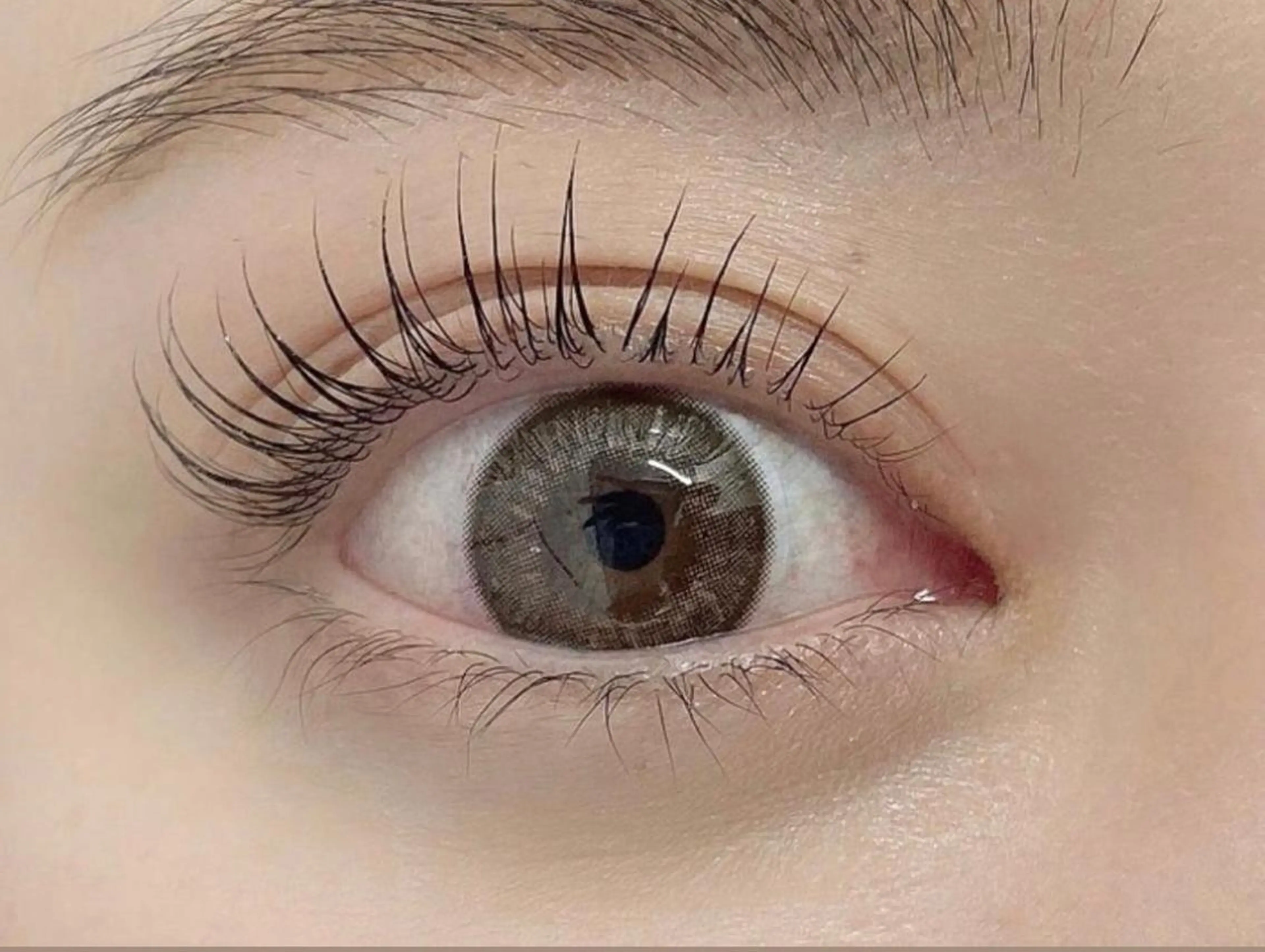 【4月限定★】カール感も選べる♪まつげパーマ+ヒト幹細胞TR (オフ込) ¥4600の写真