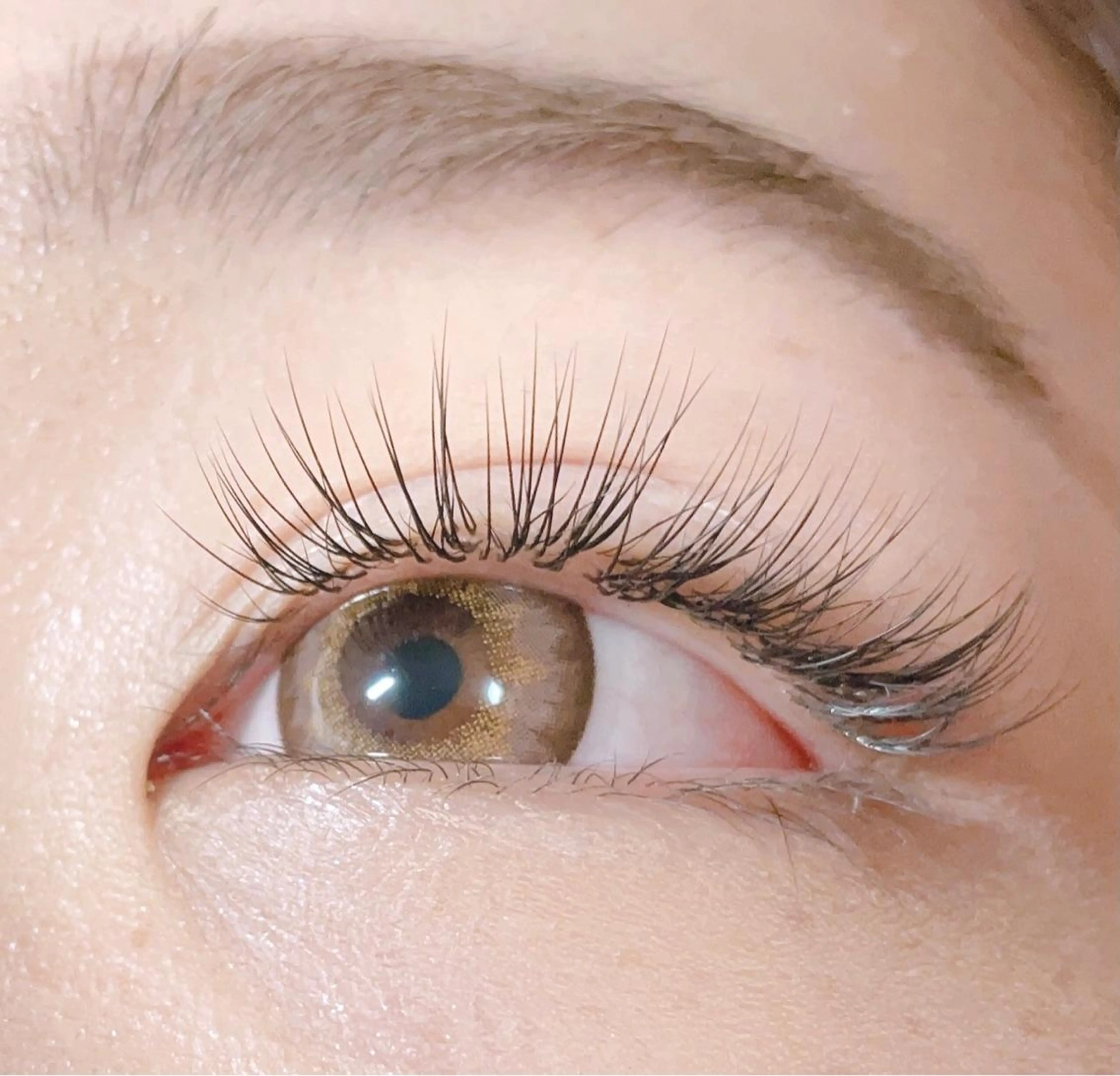 マツエク・マツパ Cカール キュート アイラッシュサロンfleur🍀所属・🍀fleur🍀 束感/ワンホン/杉浦のマツエク・マツパデザイン