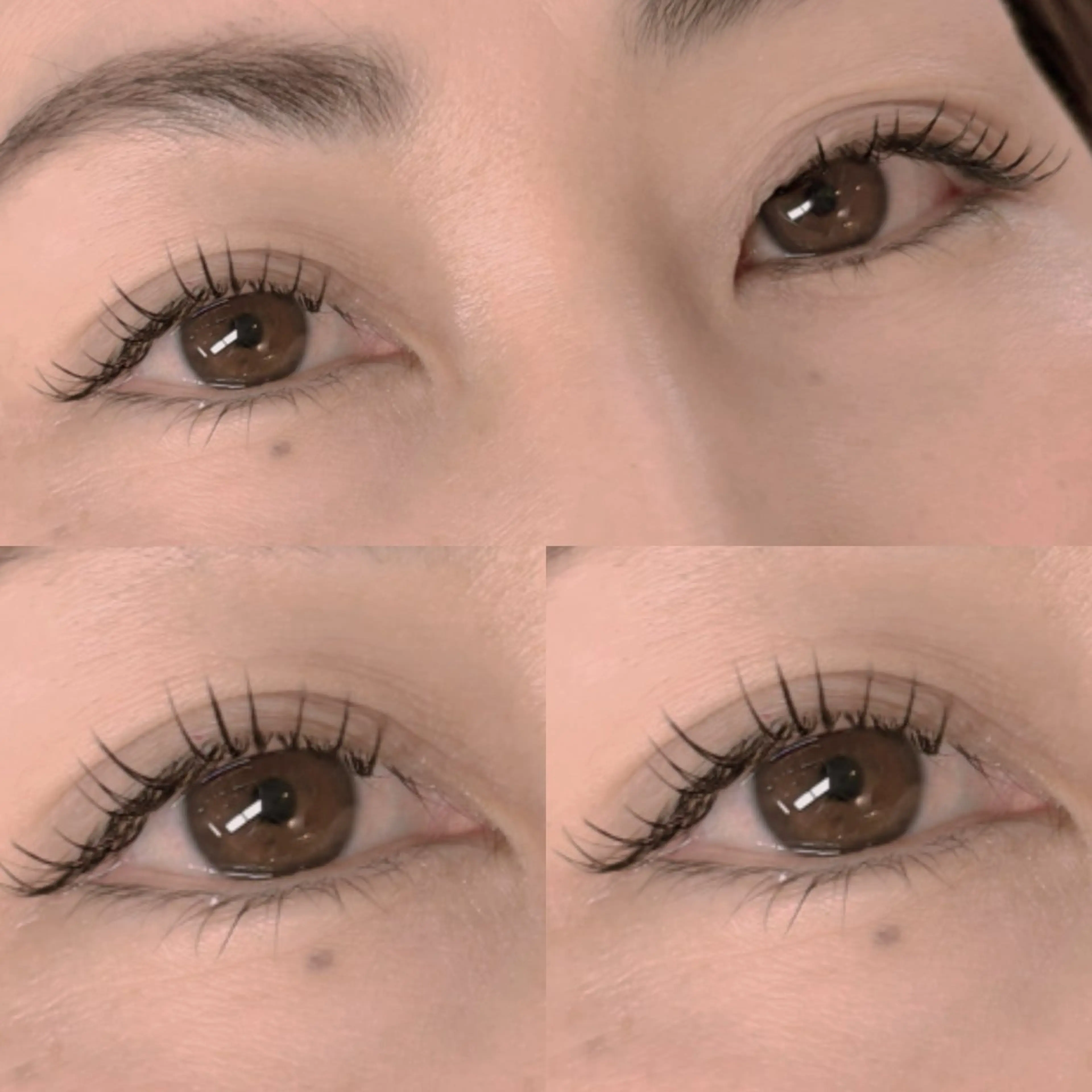 マツエク・マツパ Cカール フラットラッシュ Mai 🌺のマツエク・マツパデザイン