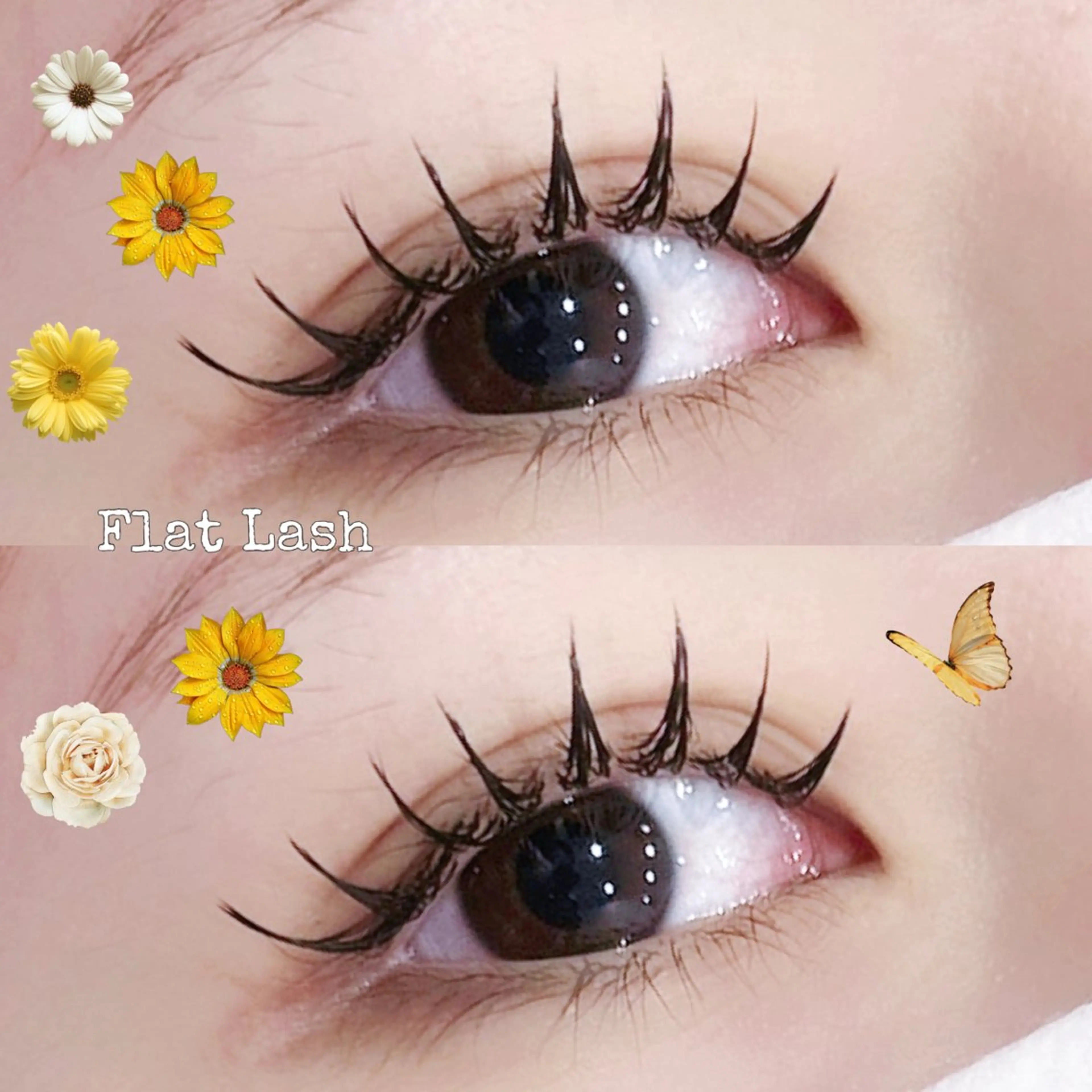 マツエク・マツパ Mao🪷 eyelashのマツエク・マツパデザイン