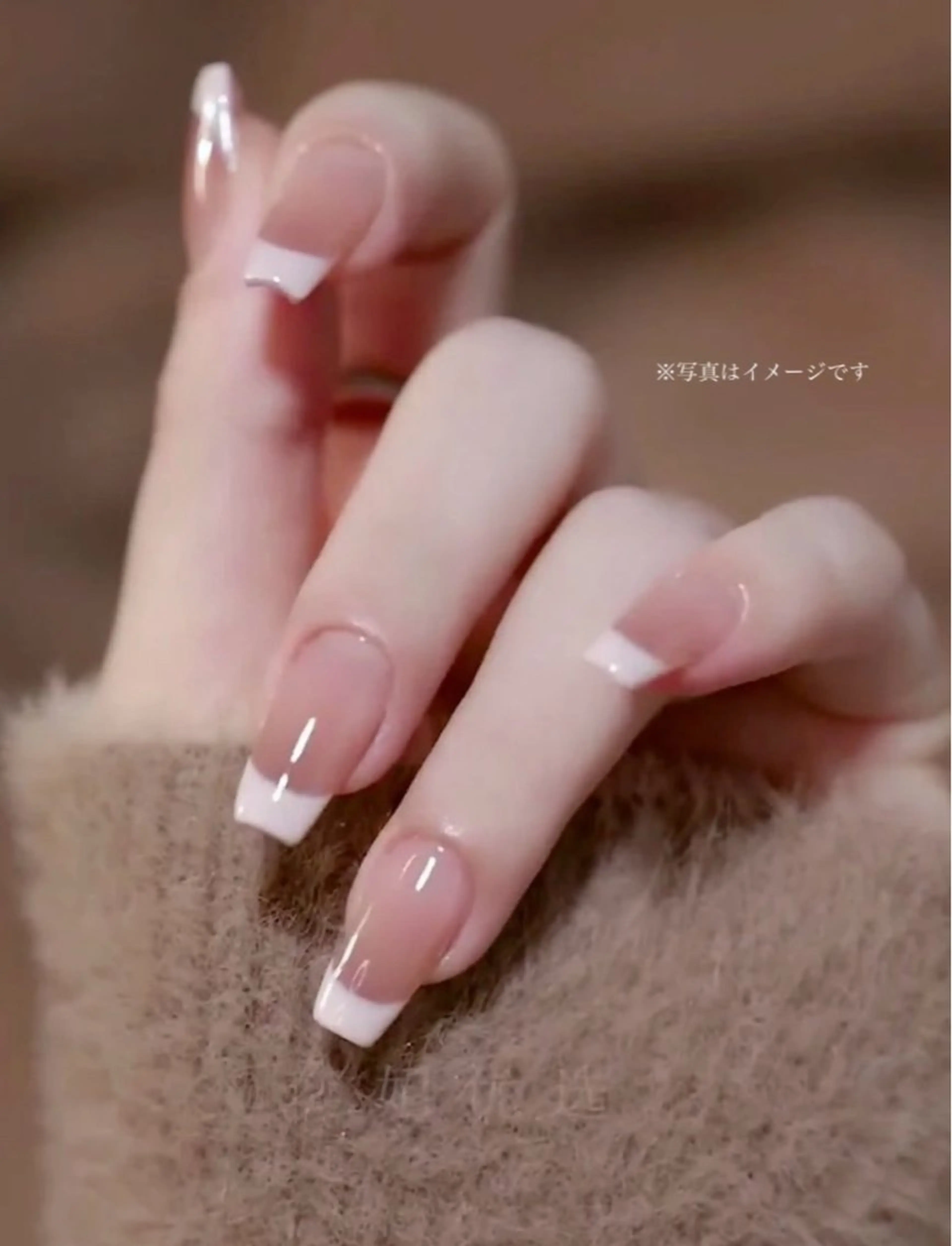 Jr育成コース/フレンチの写真