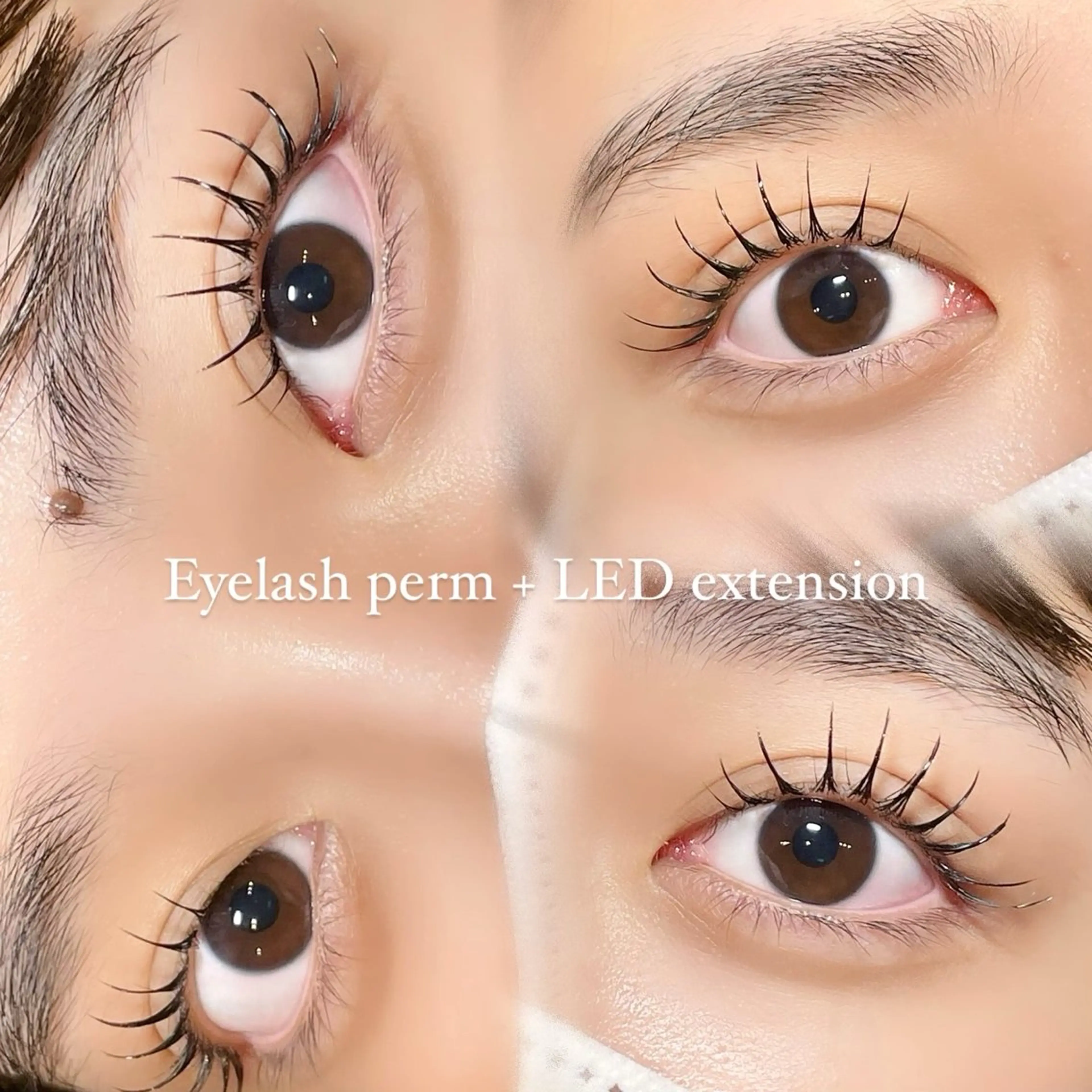 【ミニモ限定価格✨】パリエク60本🎀コーティング仕上げ🪄オフ＋500円の写真