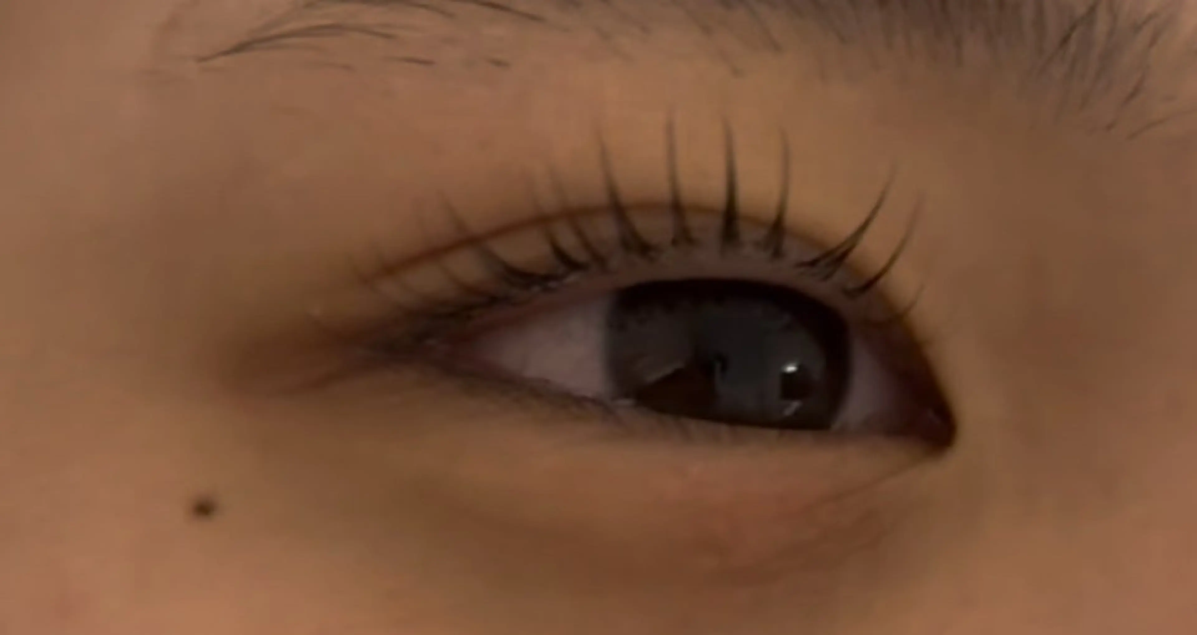 パリジェンヌラッシュリフト4600円の写真