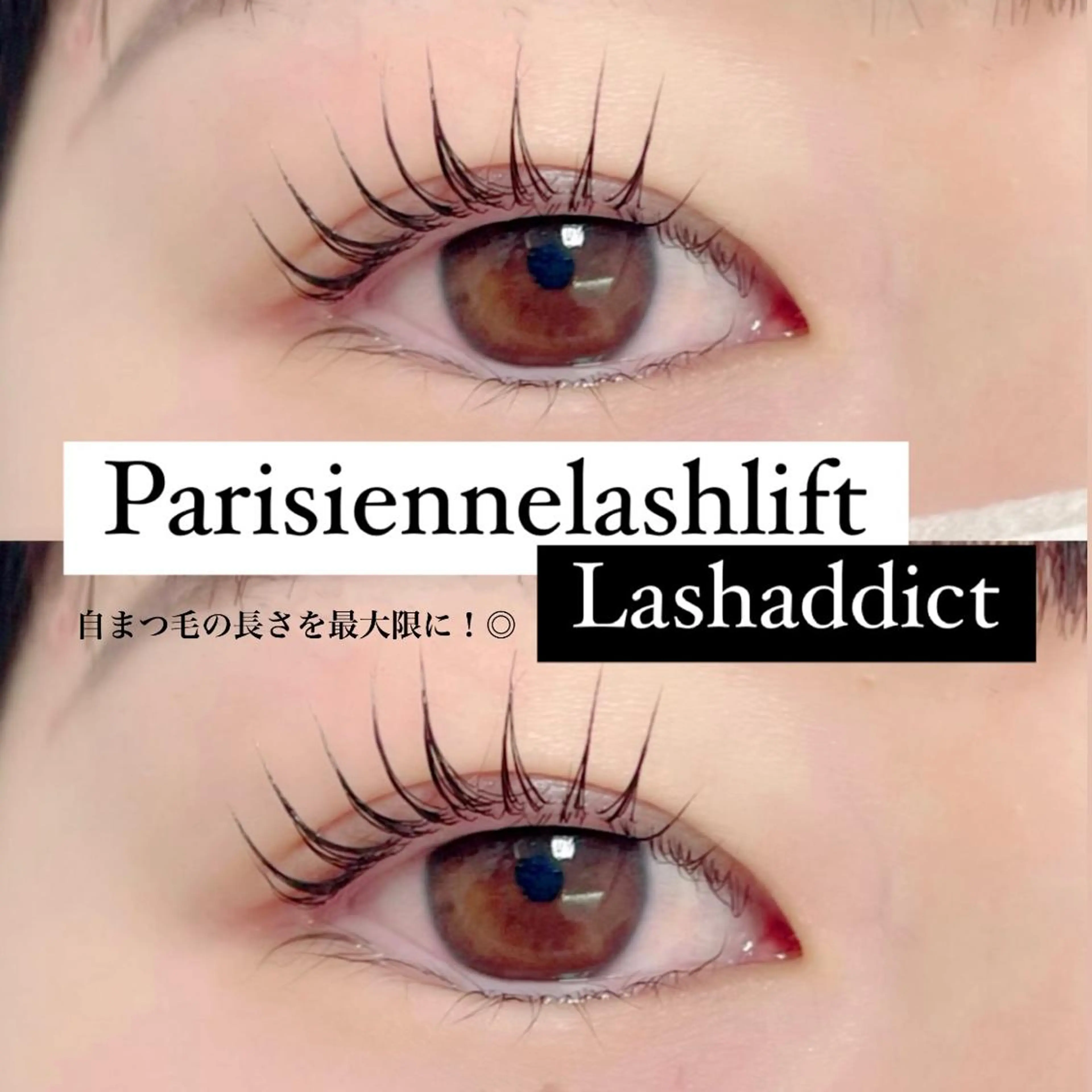 マツエク・マツパ FOXY LASH Miyamotoのマツエク・マツパデザイン