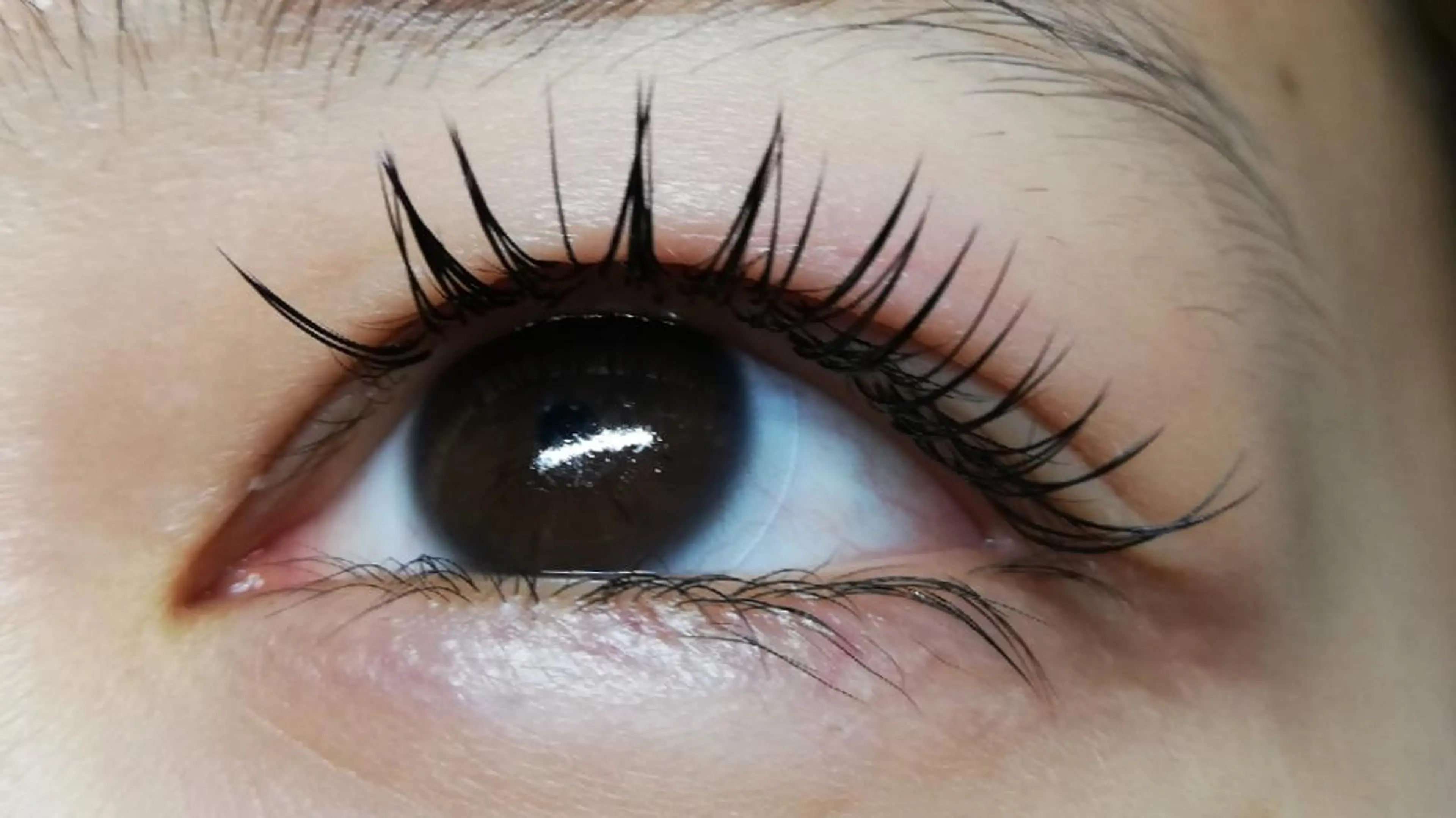 マツエク・マツパ キュート セーブル 完全個室サロン🌹 angelux🌹のマツエク・マツパデザイン