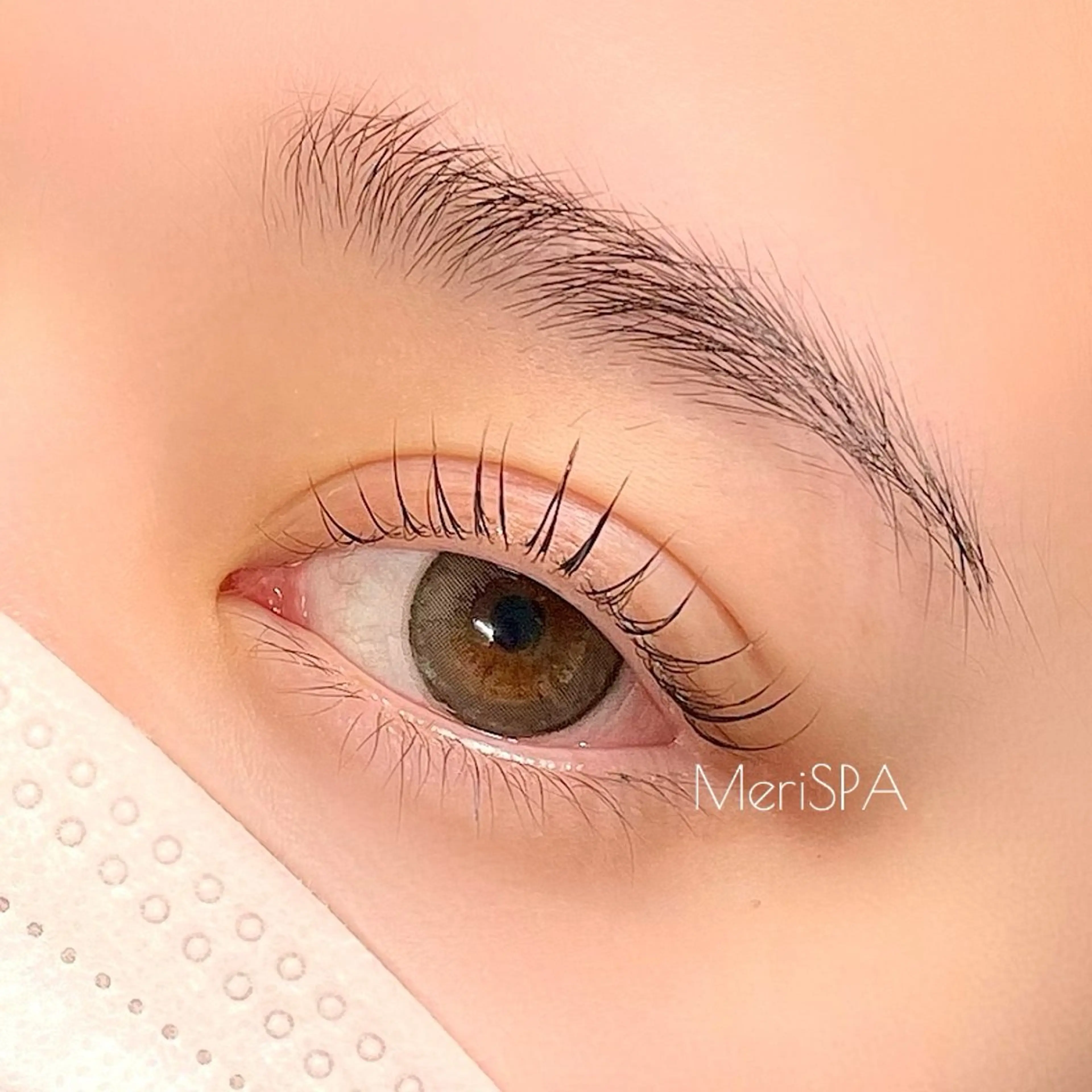 マツエク・マツパ MeriSPA 🩵の眉毛・アイブロウイメージ