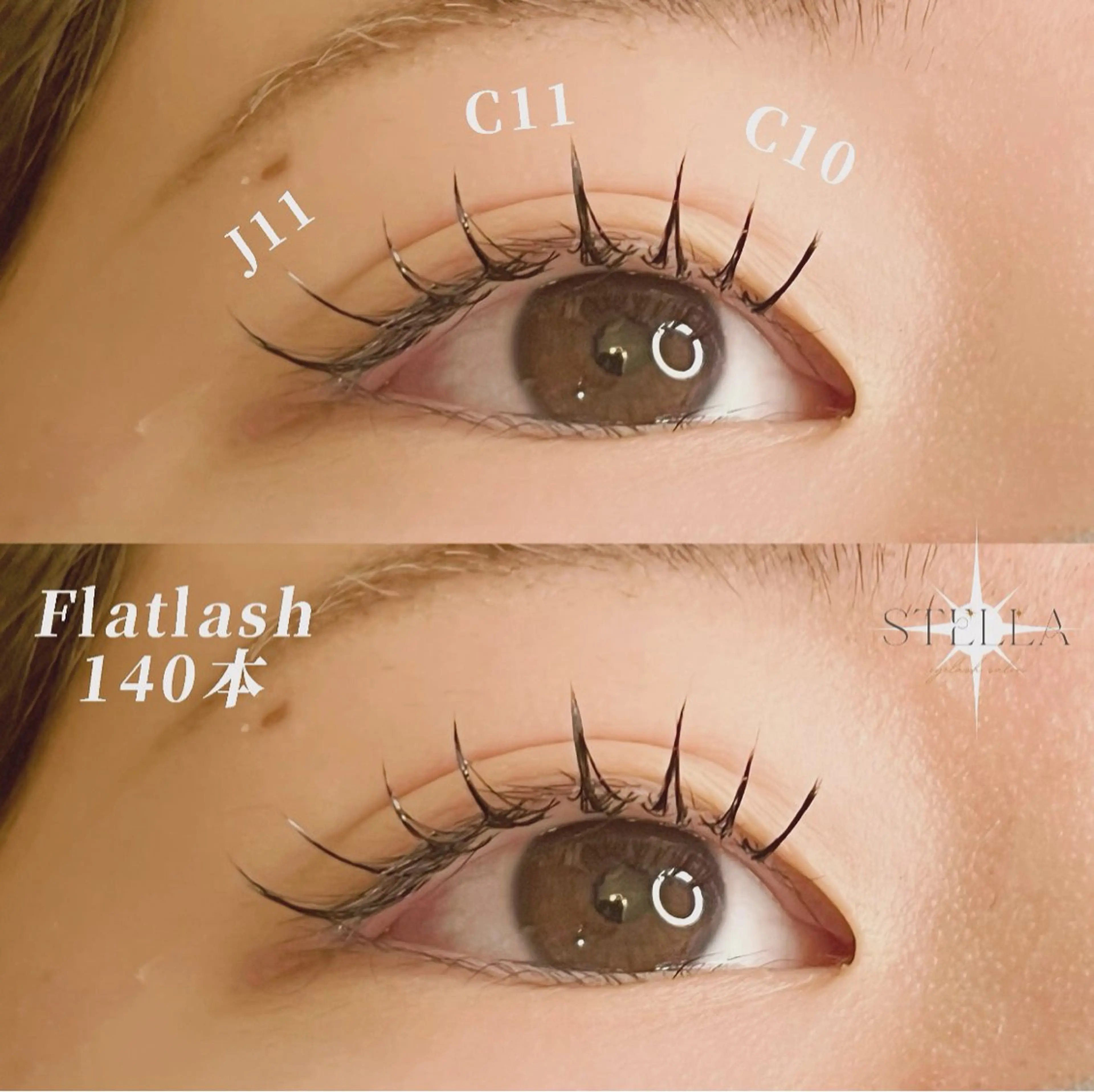 フラットラッシュ140本の写真