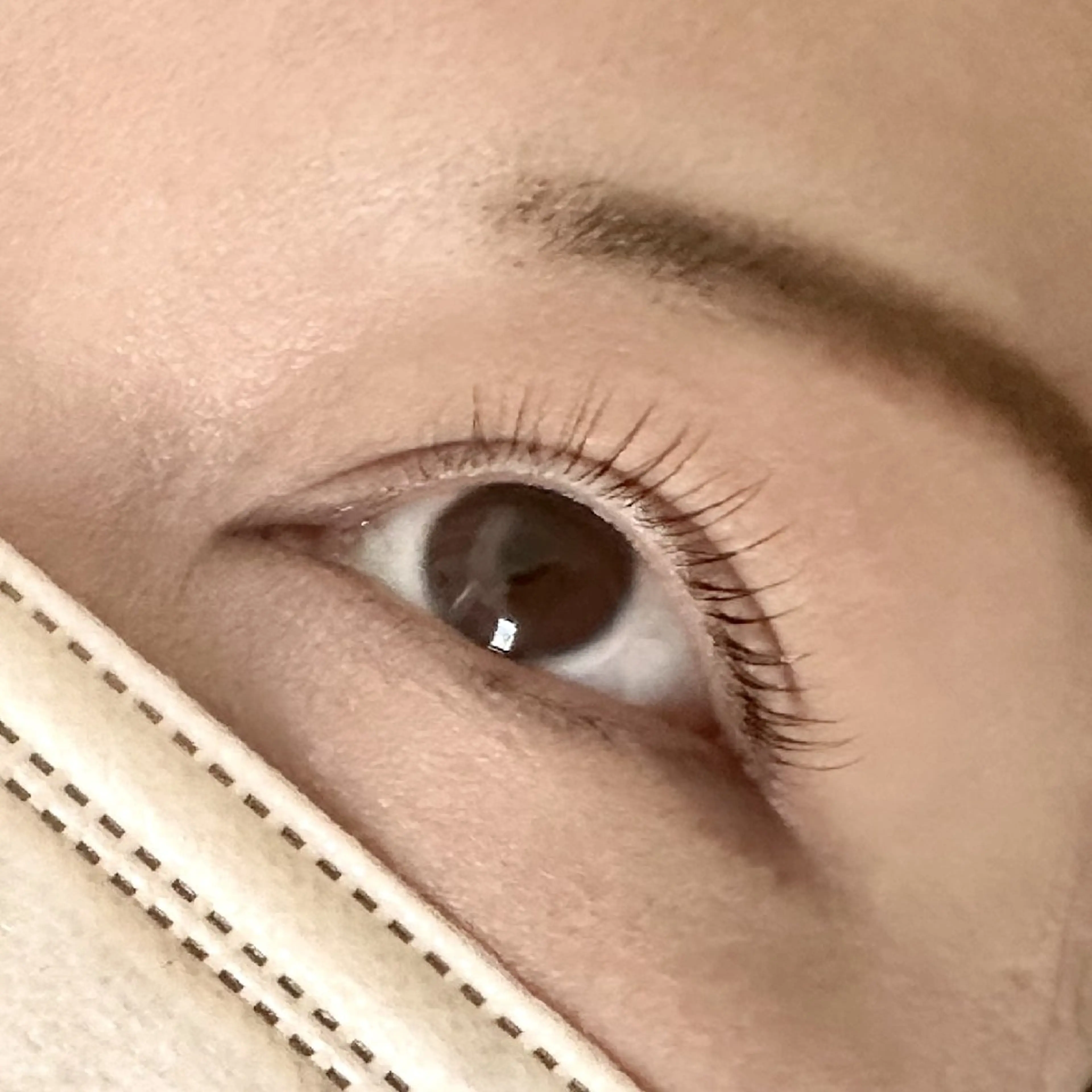 【初回】ラッシュリフトの写真