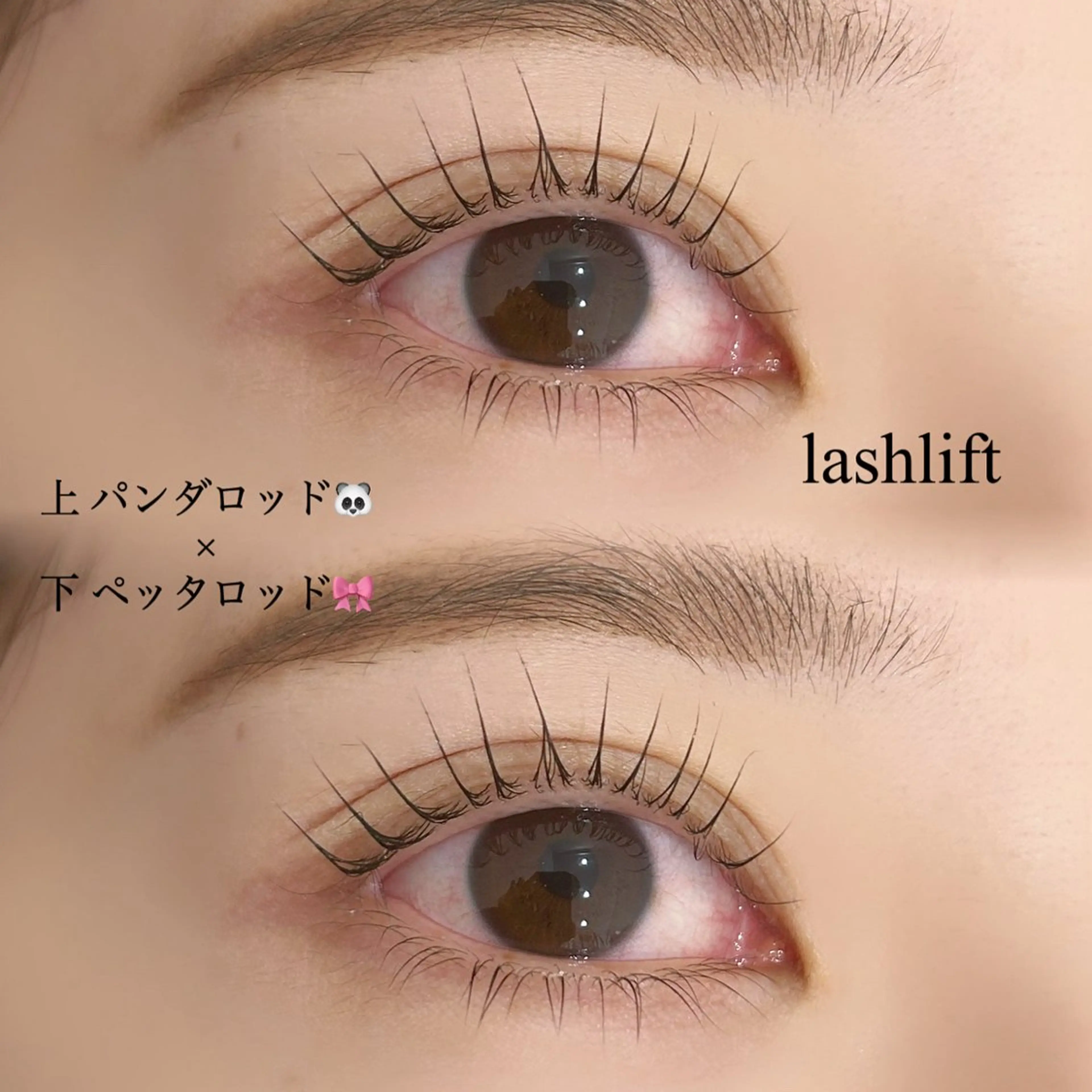 マツエク・マツパ マツパ chiri／似合わせ ×韓ドルまつ毛パーマのマツエク・マツパデザイン