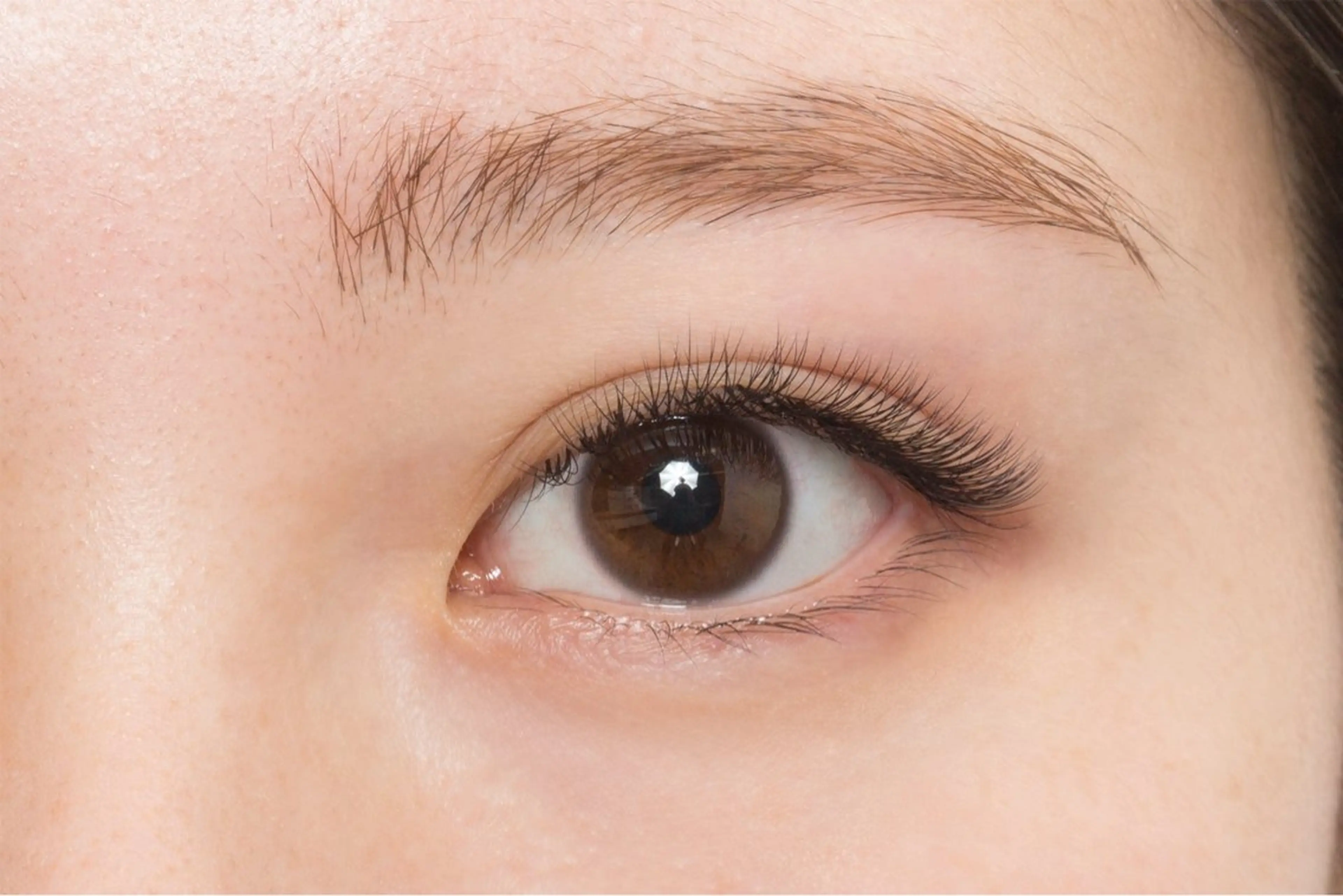 マツエク・マツパ ボリュームラッシュ マツエク sii. eyelash/eyebrow所属・sii. くろだのマツエク・マツパデザイン