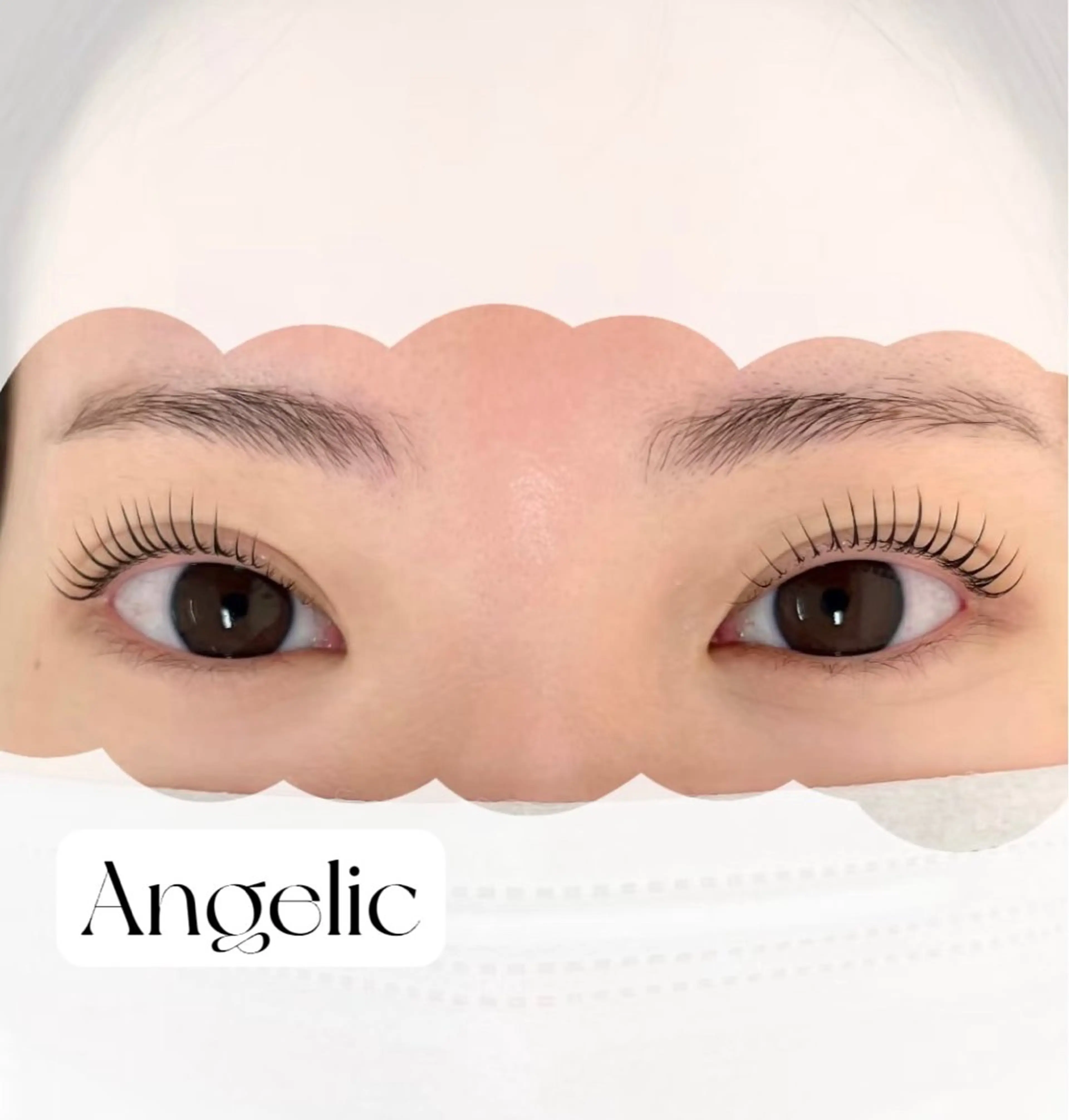 🧸🆕韓国束感・ラッシュリフト【美容液トリートメント仕上げ】の写真