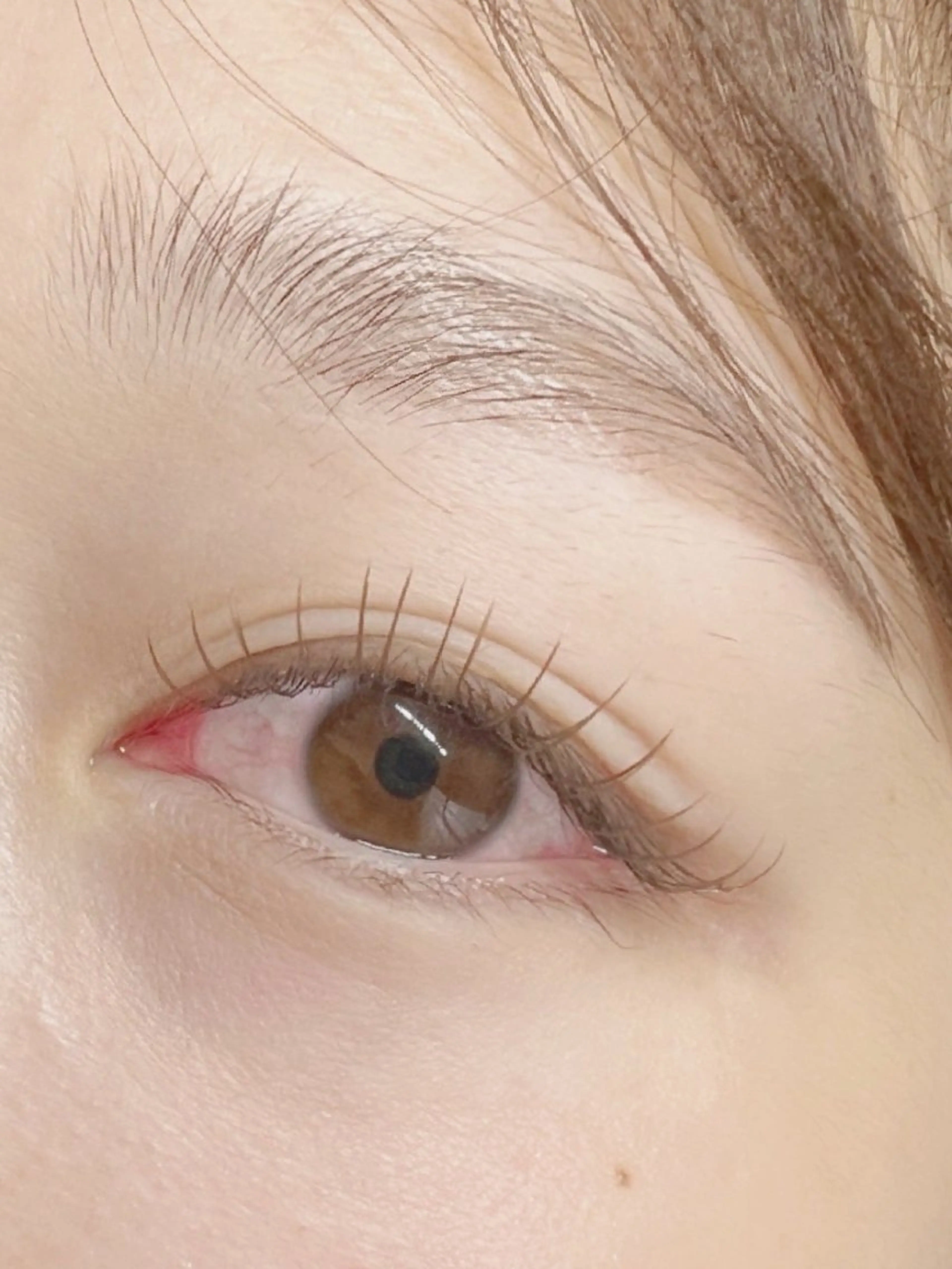 マツエク・マツパ フラットラッシュ Eyelash Hauoliの眉毛・アイブロウイメージ
