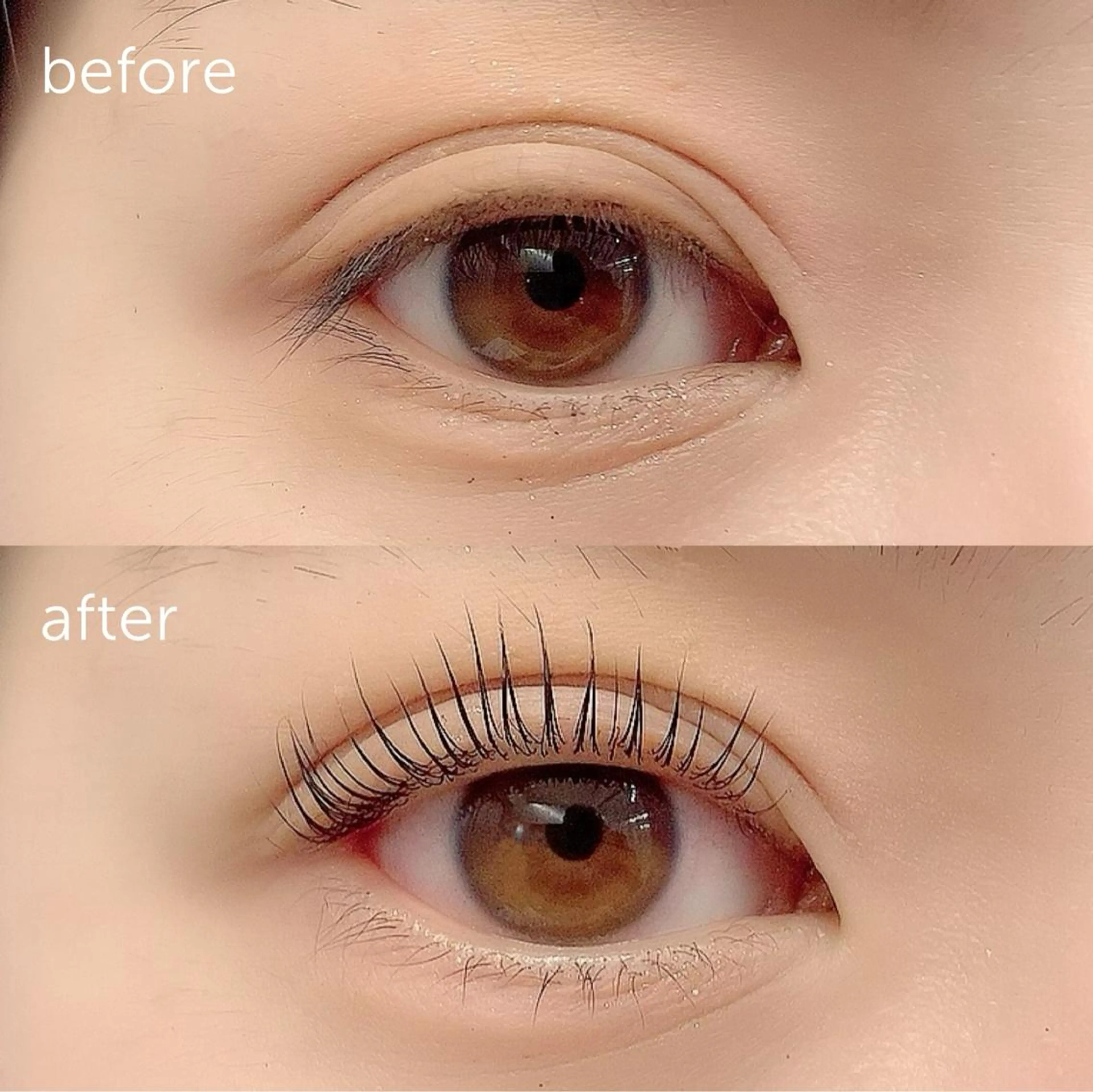 マツエク・マツパ パリジェンヌラッシュリフト 🤍アイリスト kana🤍のマツエク・マツパデザイン