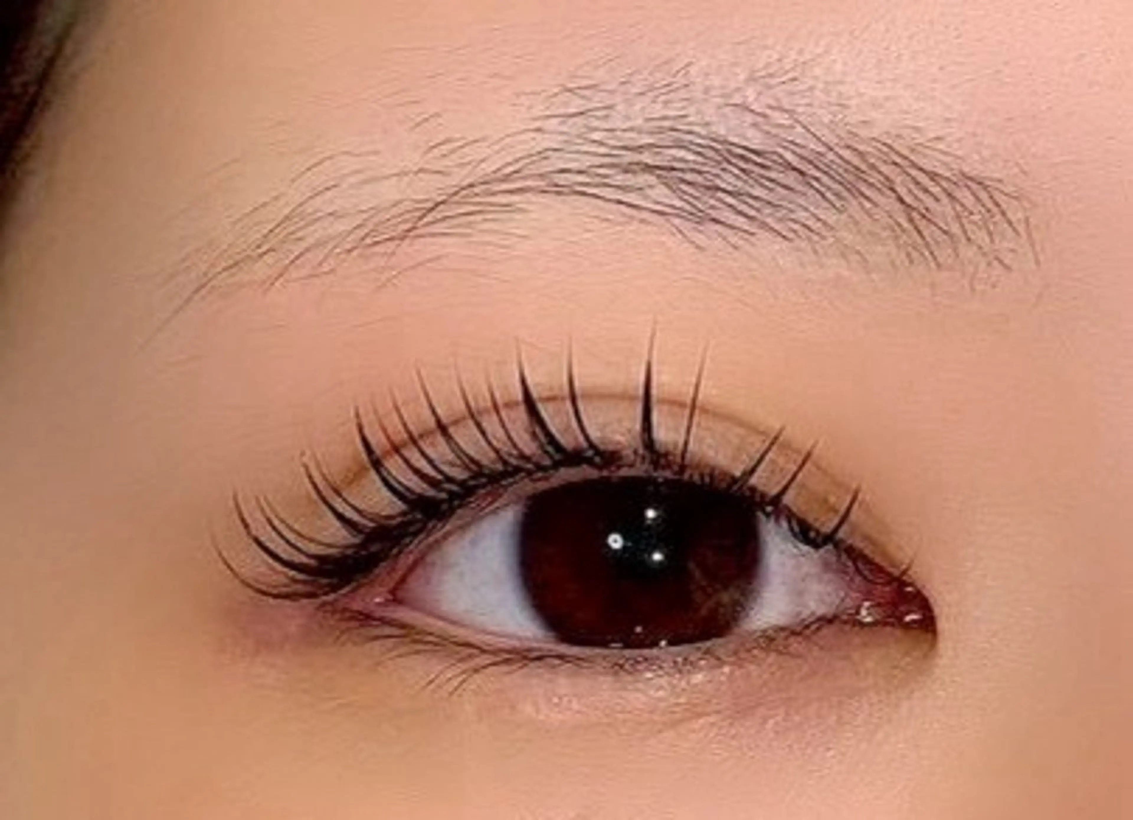 【平日限定】&ヘルシー100本​〜​120本(オフあり)の写真