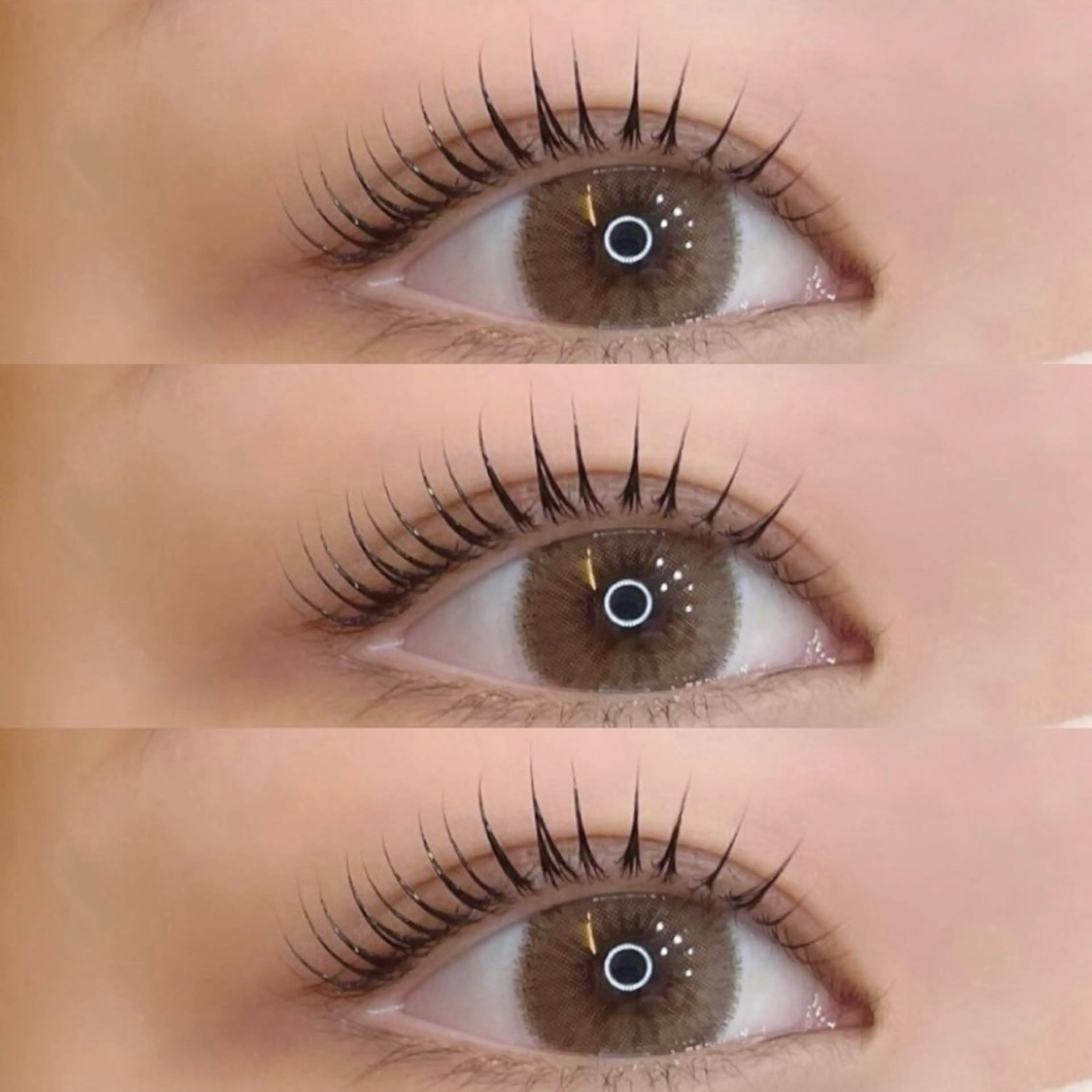 マツエク・マツパ マツパ Roi / SHIHOのマツエク・マツパデザイン