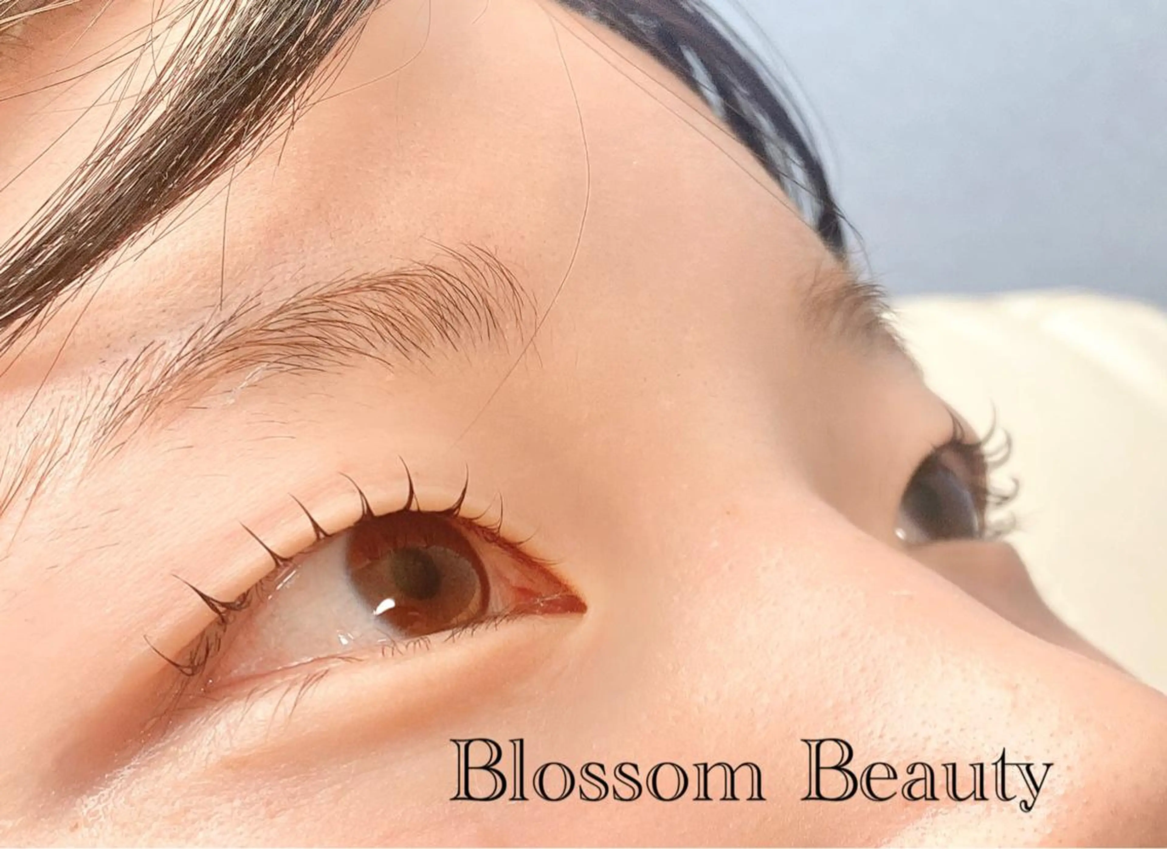 マツエク・マツパ Blossom Beauty aoiのマツエク・マツパデザイン