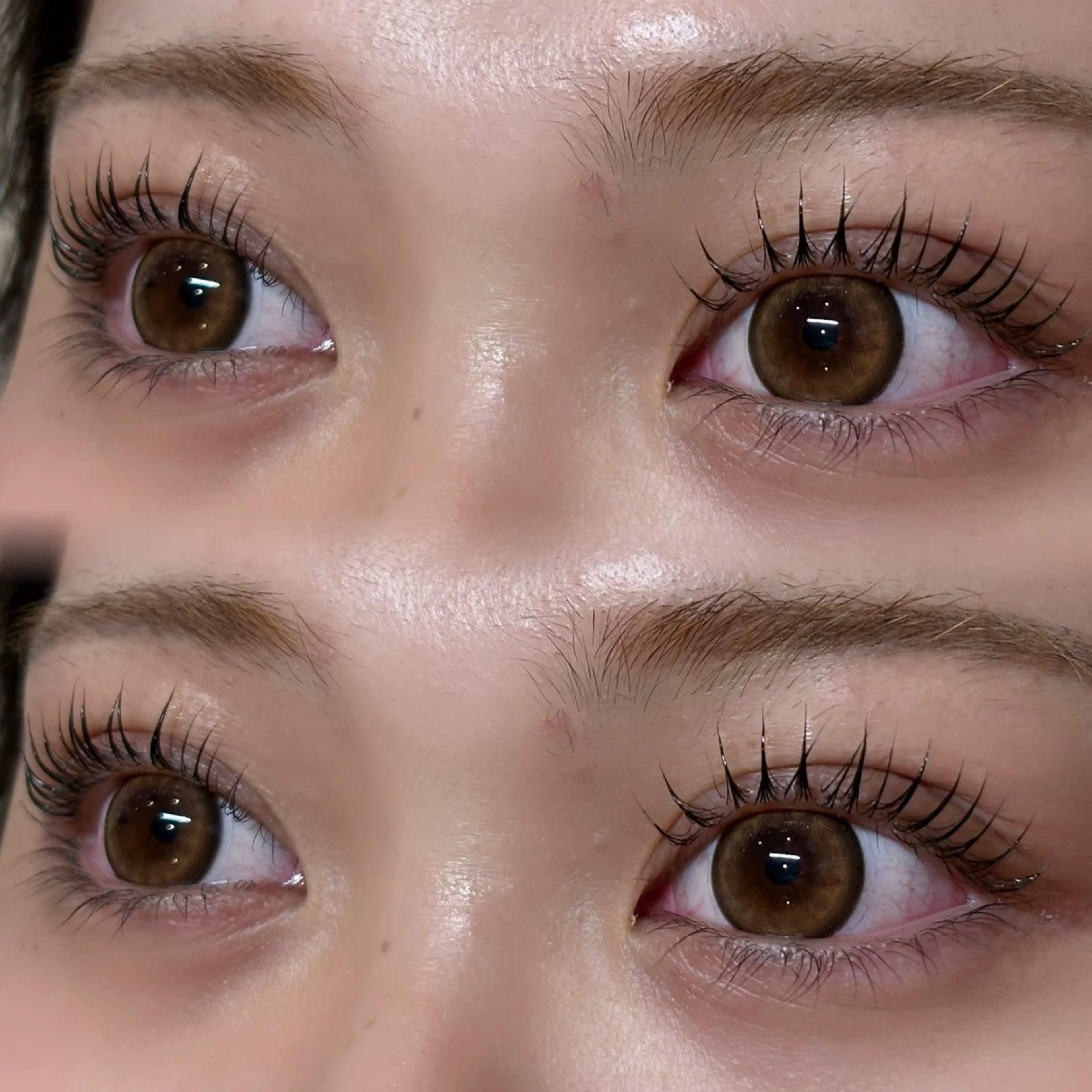 マツエク・マツパ パリジェンヌラッシュリフト アンドヘルシー/束感 /LED🩶MIYUのマツエク・マツパデザイン