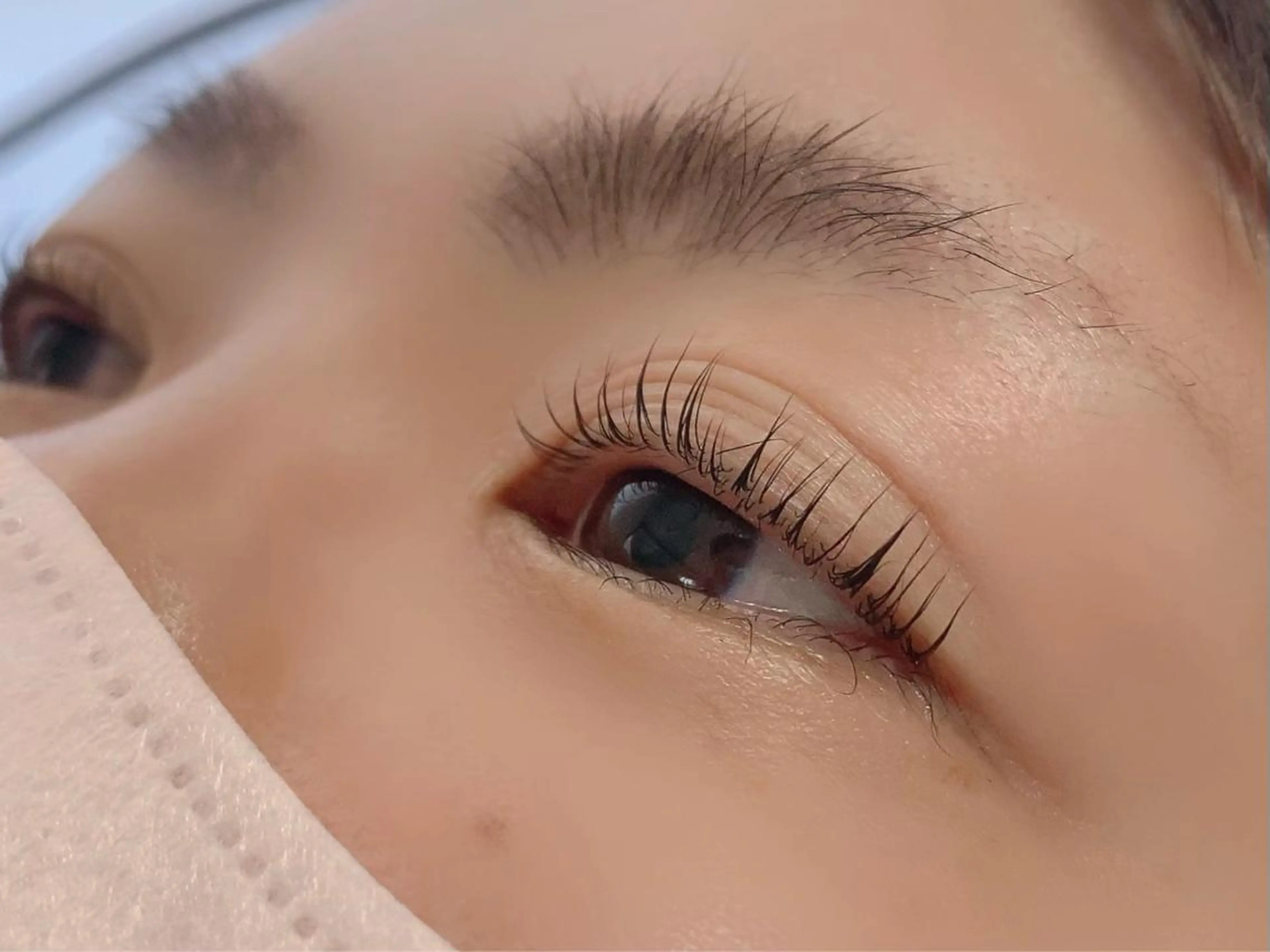 マツエク・マツパ パリジェンヌラッシュリフト マツパ 【Aile】 YUKAのマツエク・マツパデザイン