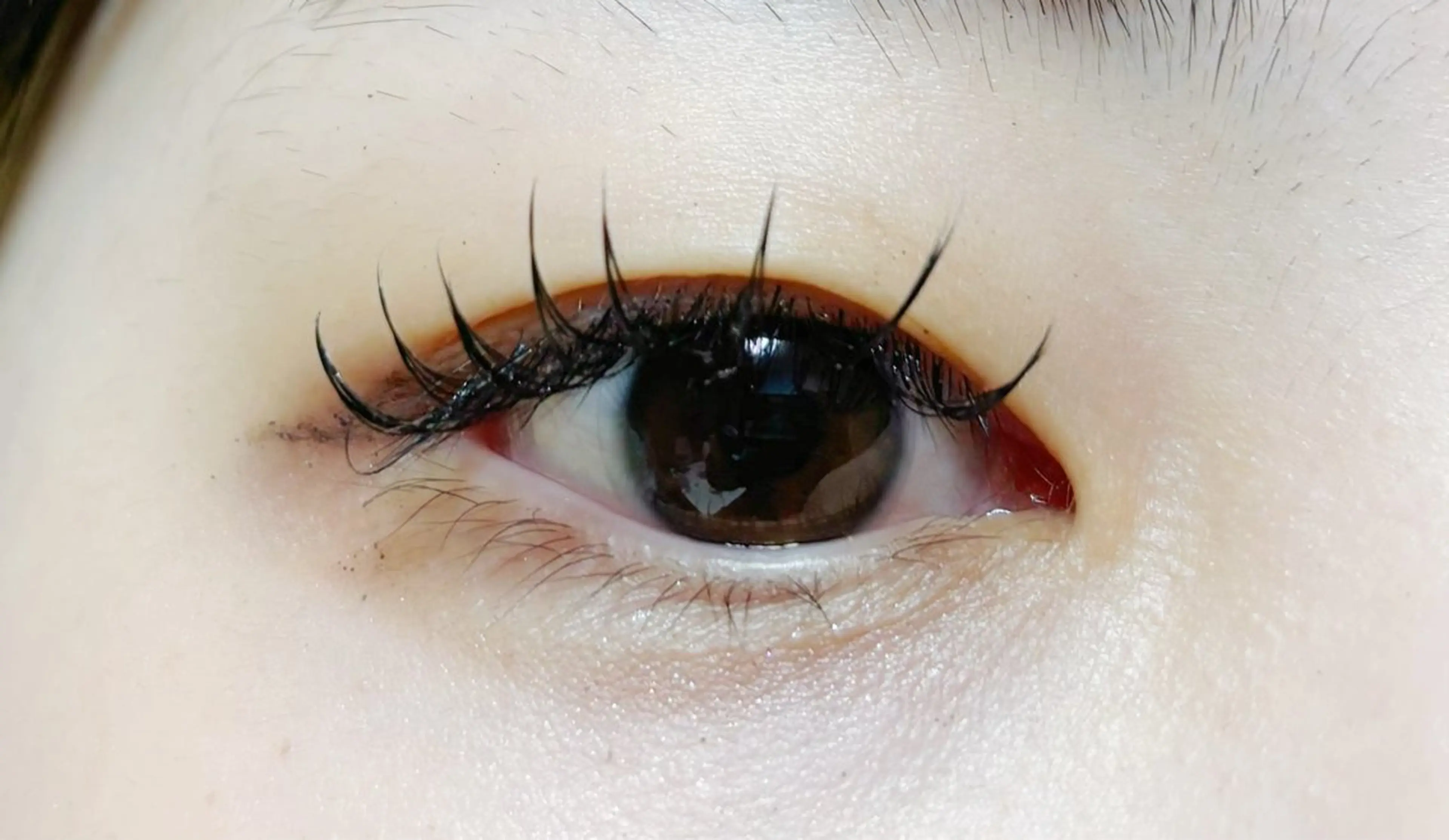 フラットラッシュ80本の写真