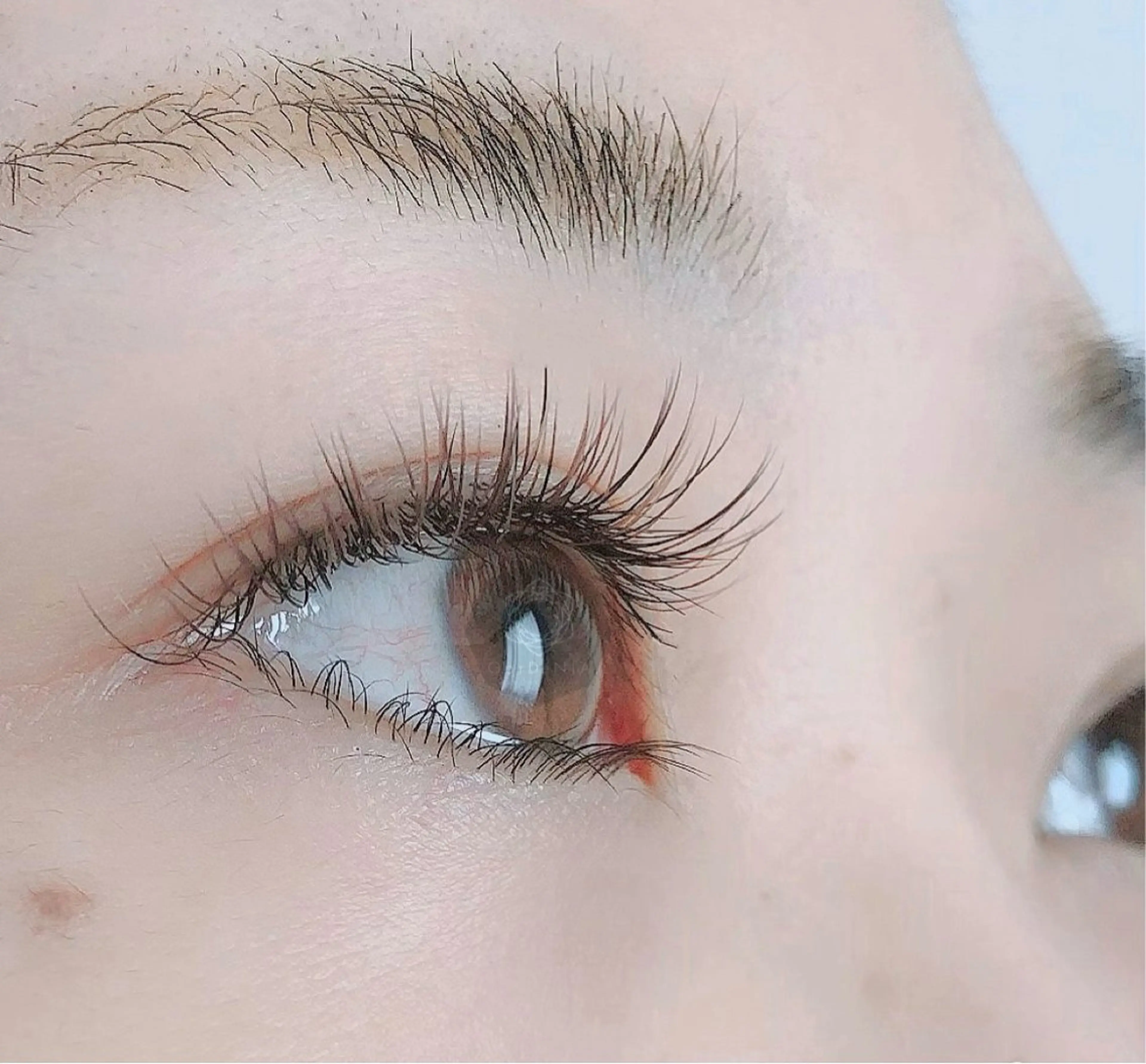 マツエク・マツパ ガーデニア  アイラッシュサロン所属・GarDeNiA Pico(ピコ)のマツエク・マツパデザイン